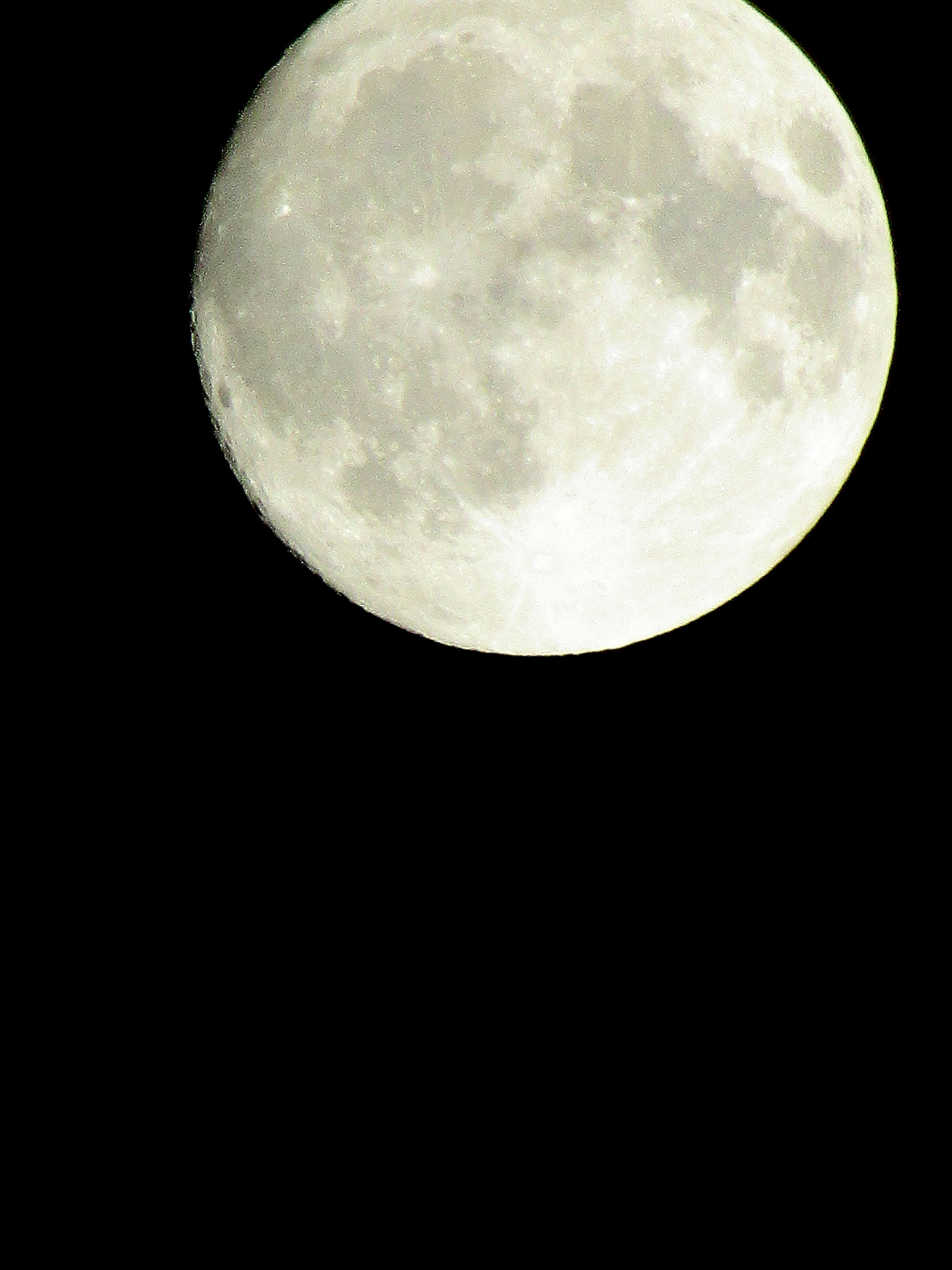 user avatar image for Silvy