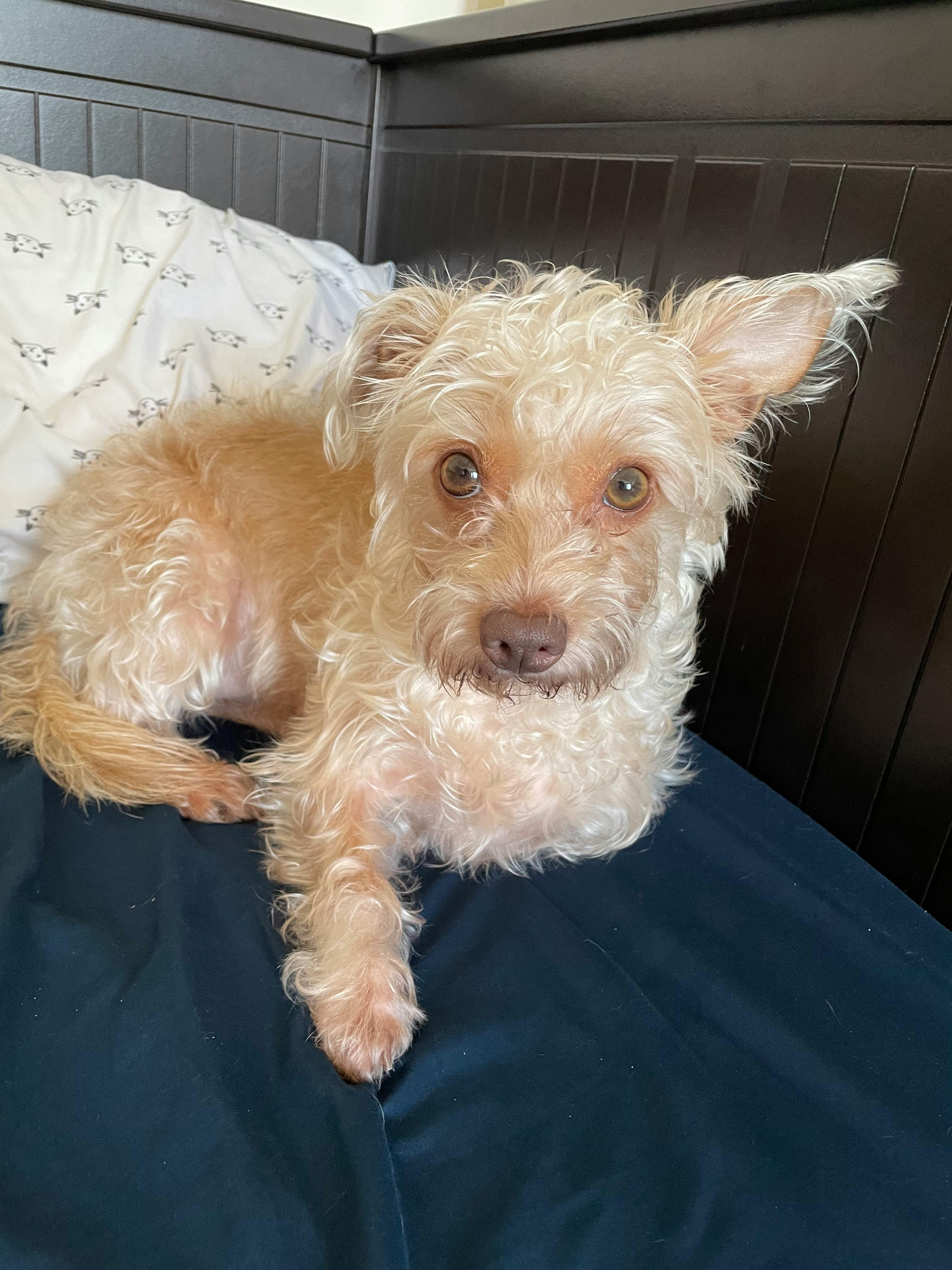 user avatar image for Ricardo