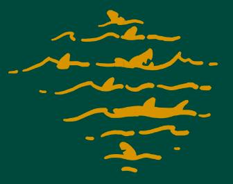 Bloody sharks!