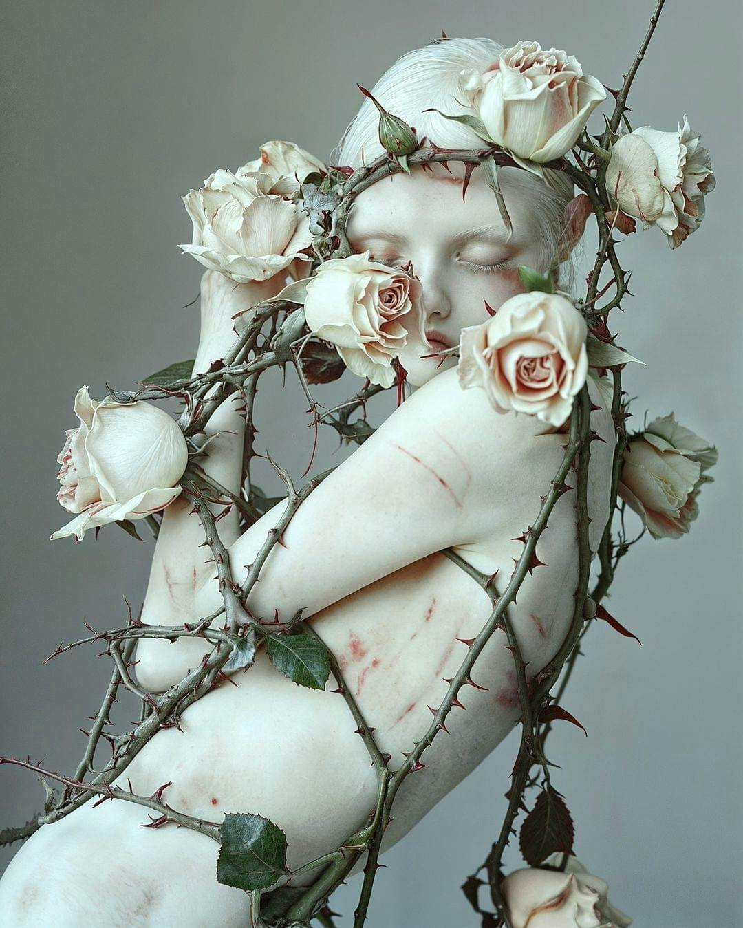 user avatar image for Kaikuna