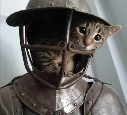 user avatar image for Templar