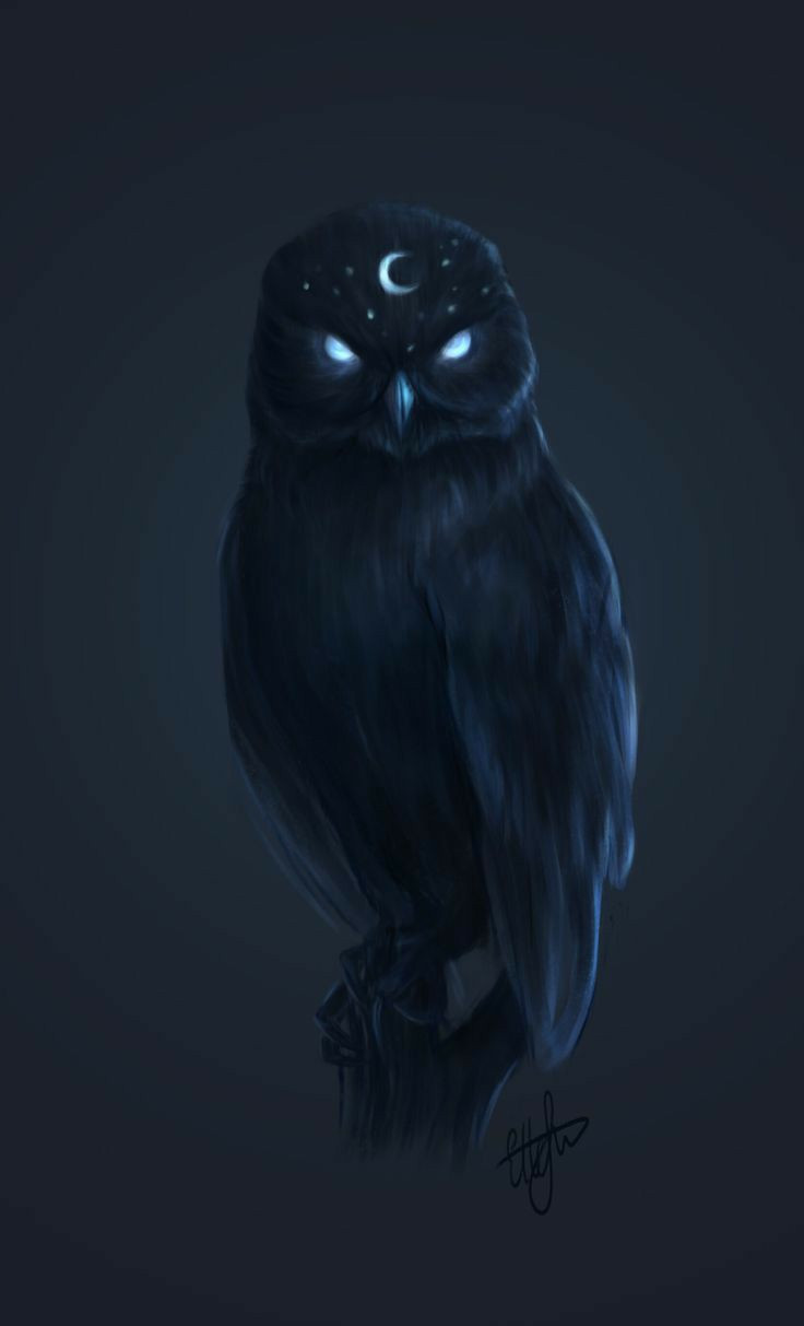 user avatar image for stryx