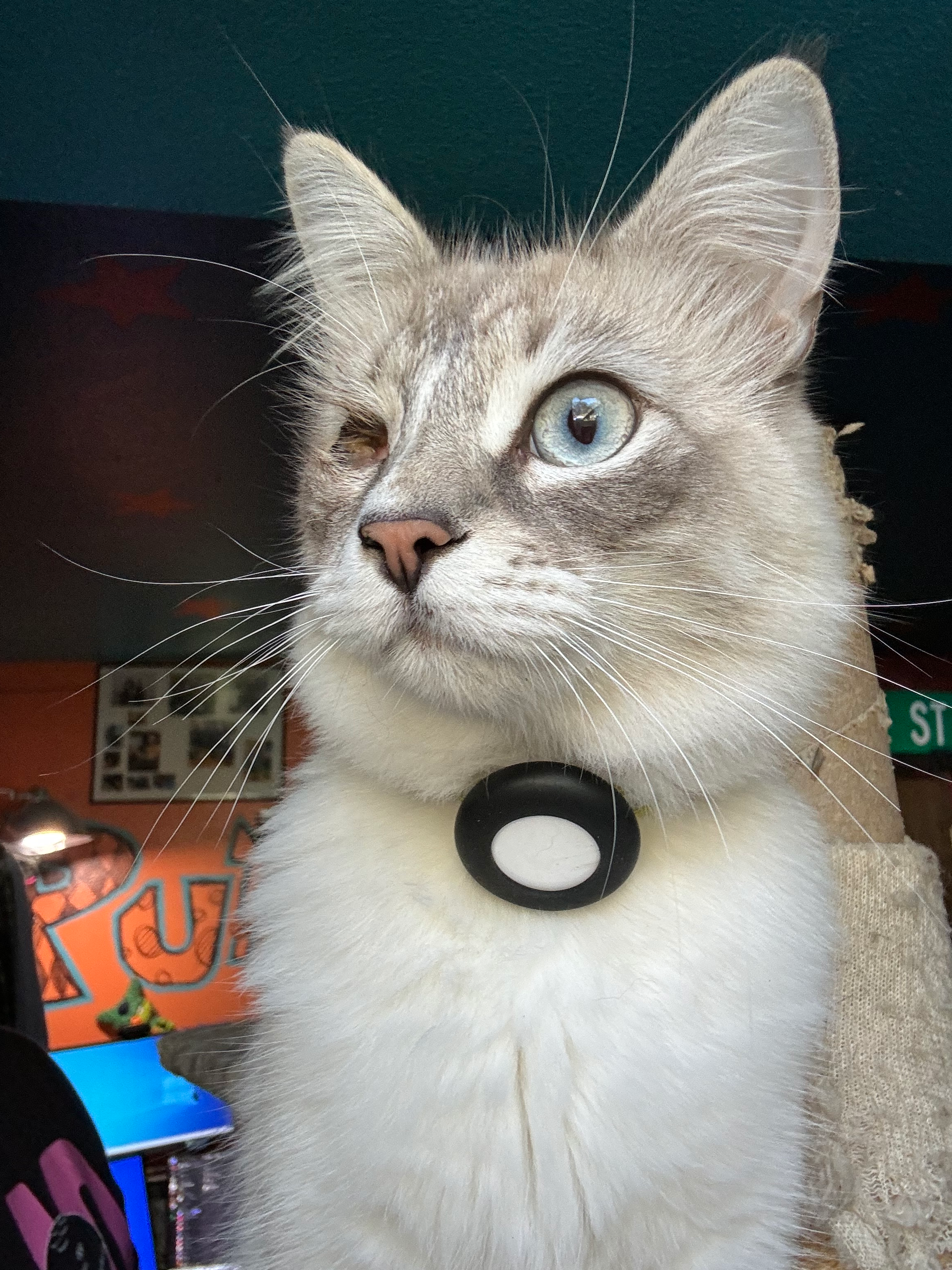 user avatar image for LegenGARY