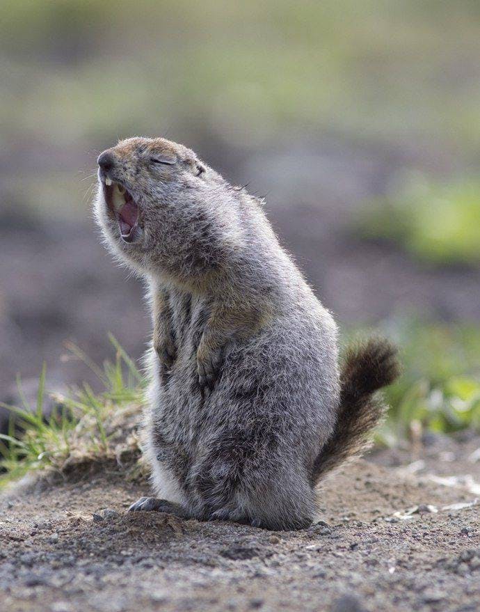 user avatar image for William Davies 