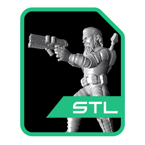 Player Characteer Action Pose Miniatures STLs