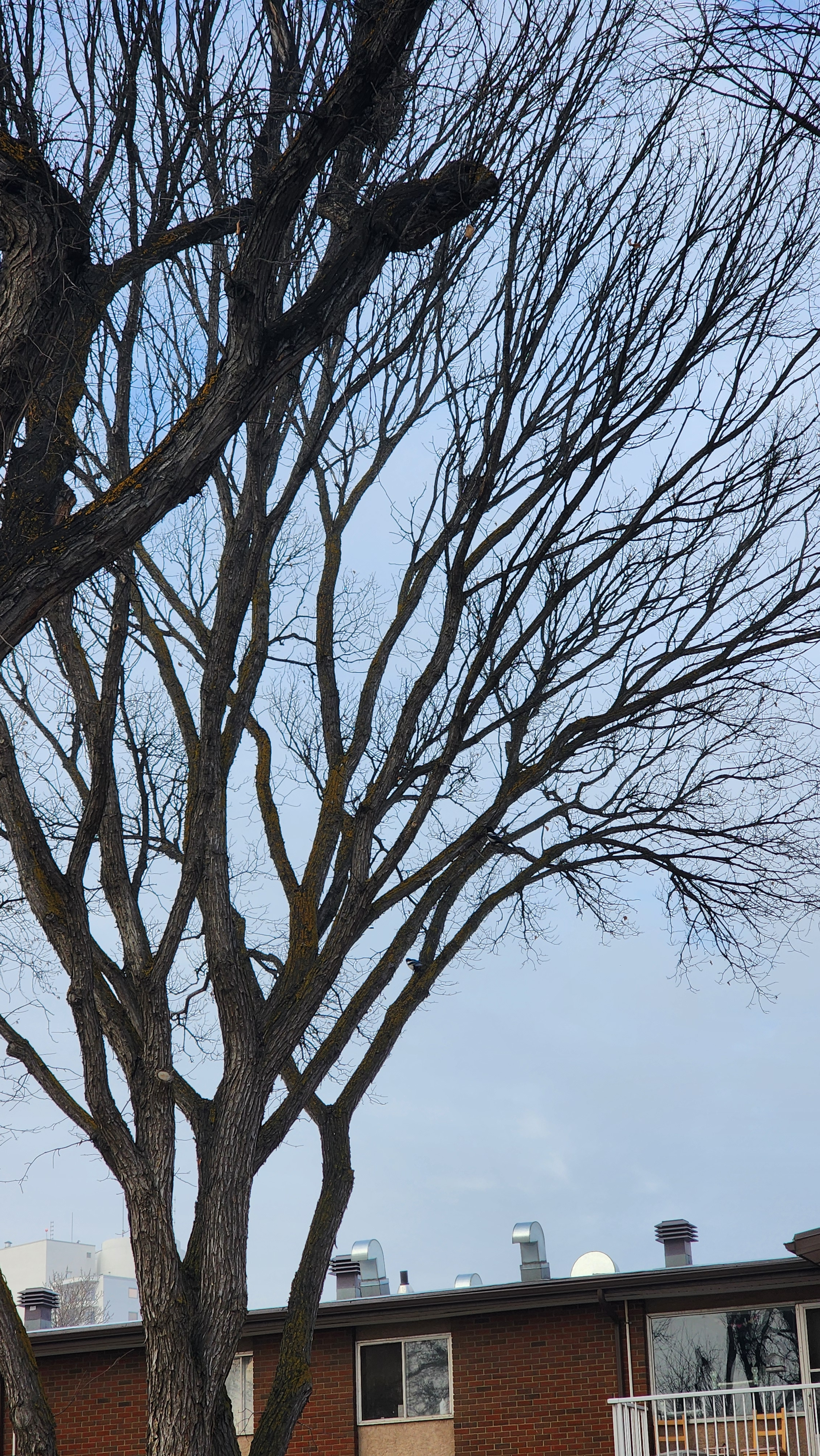 user avatar image for sponge