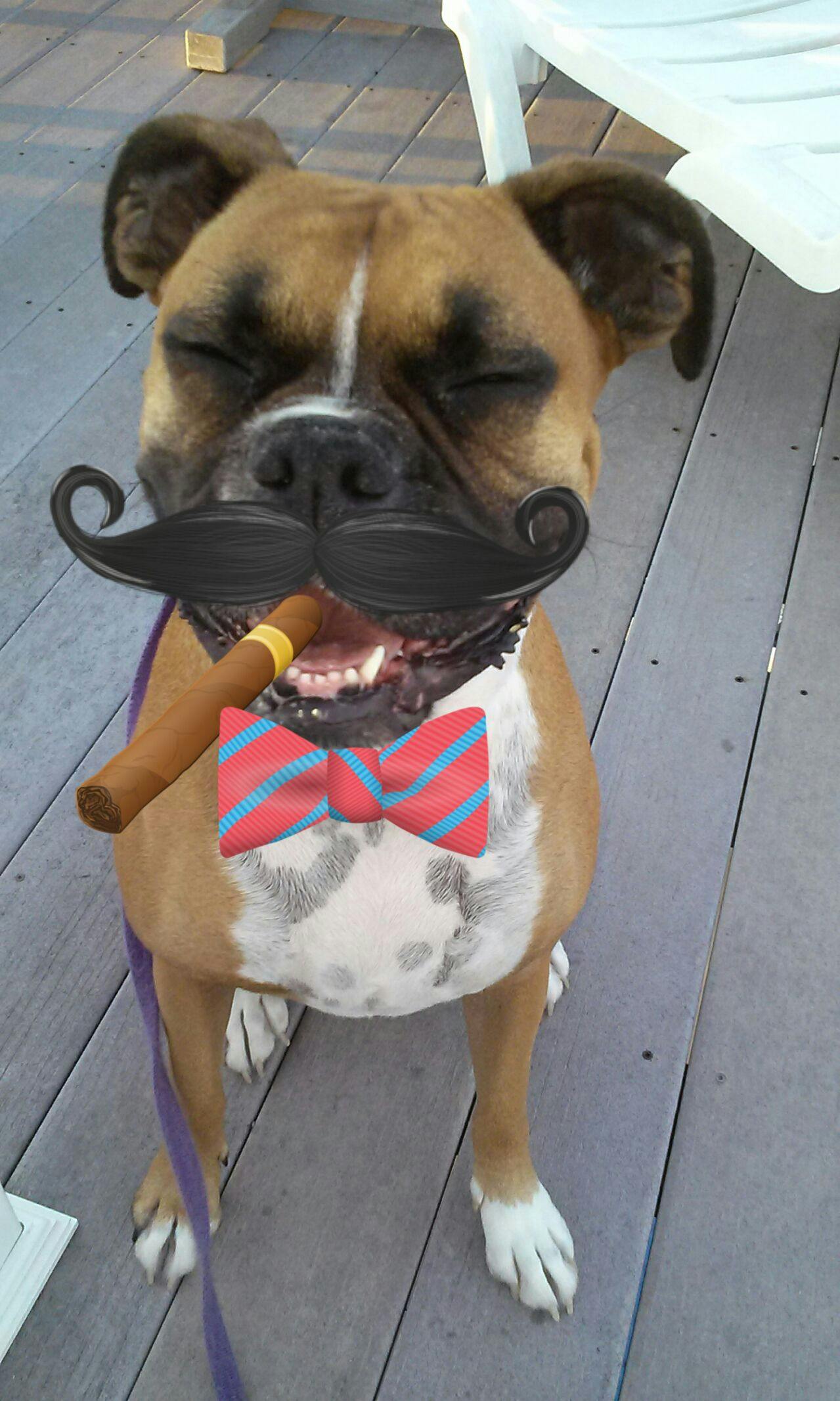 user avatar image for Gravy