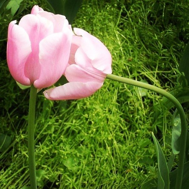 user avatar image for Grace