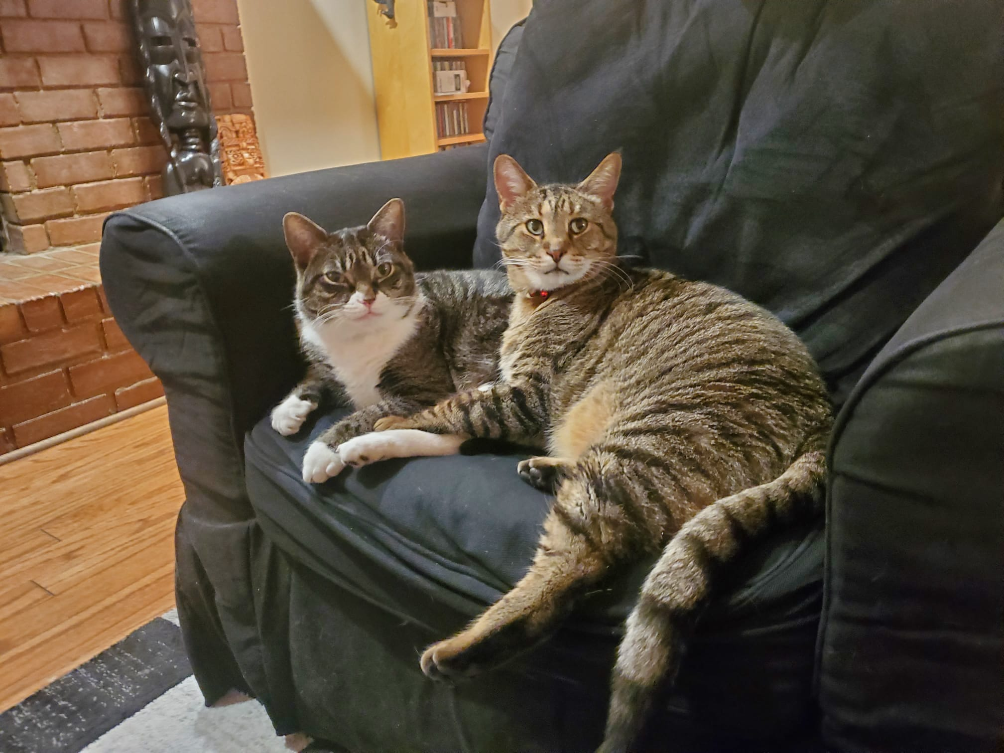 user avatar image for WeirdCandy