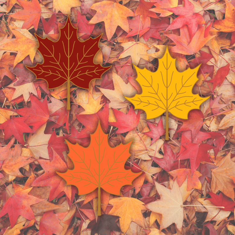 Maple Leaf Trio Mini Pins