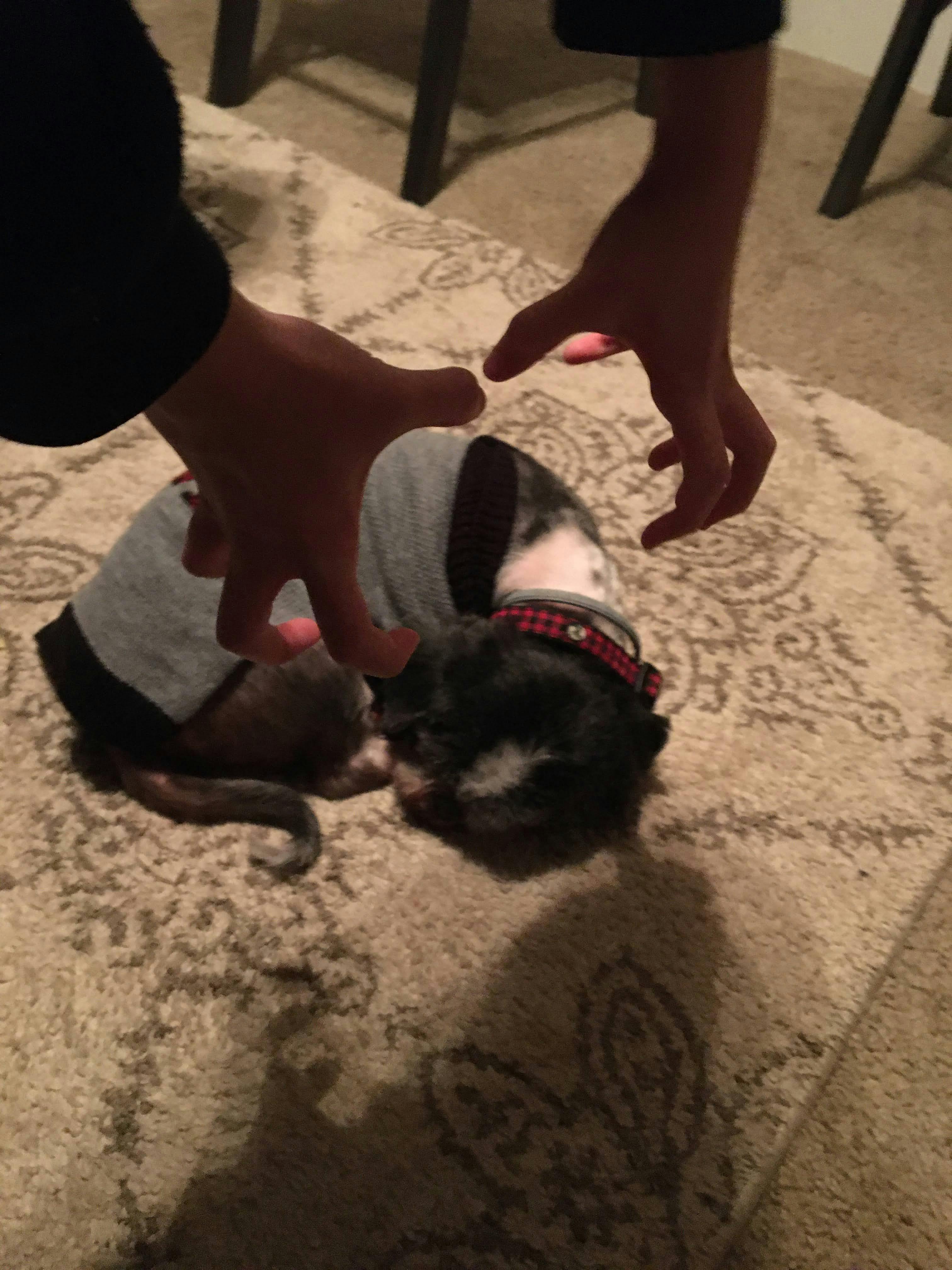 user avatar image for Kianna