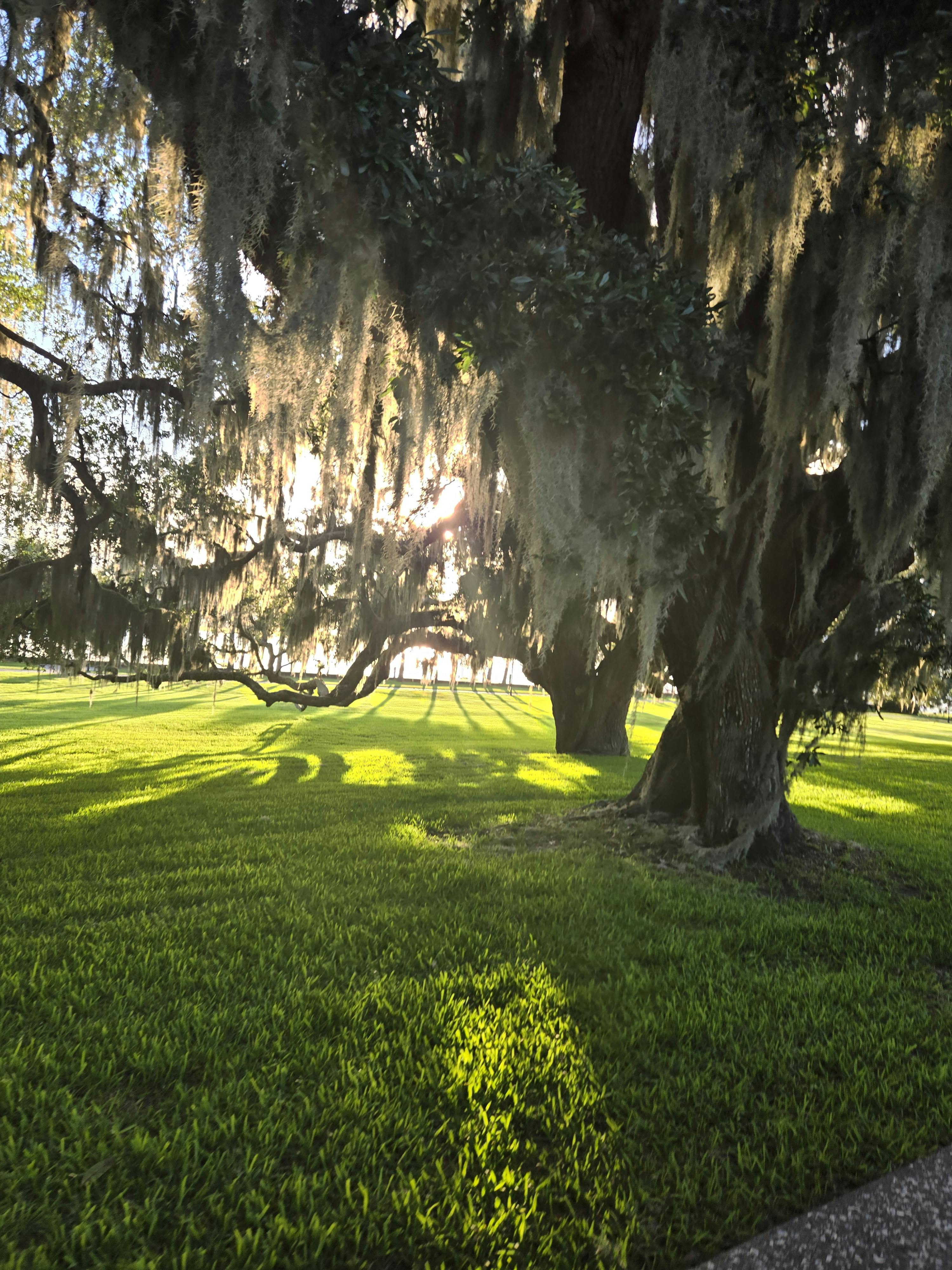 user avatar image for TheArchivest