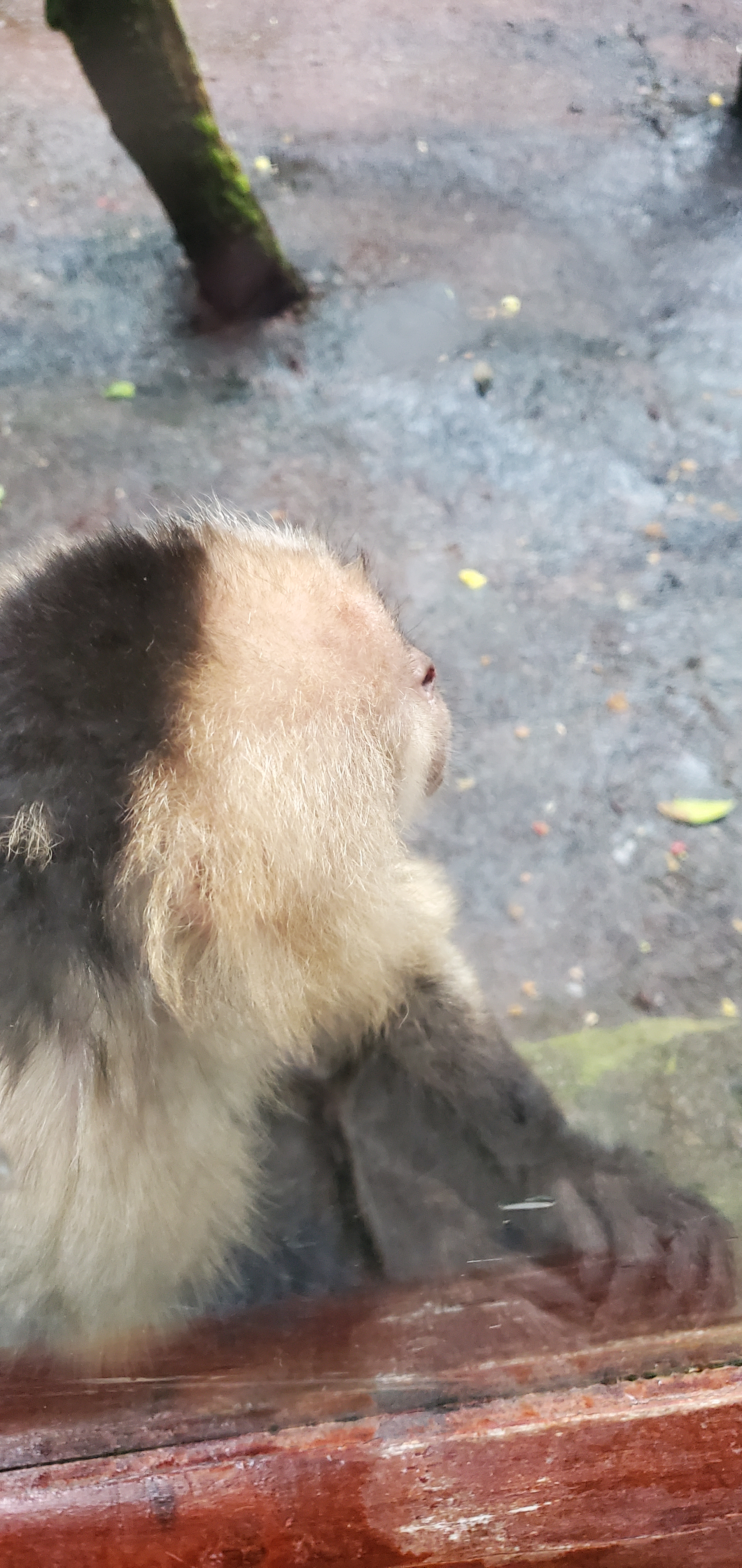 user avatar image for Jeffrey Byron