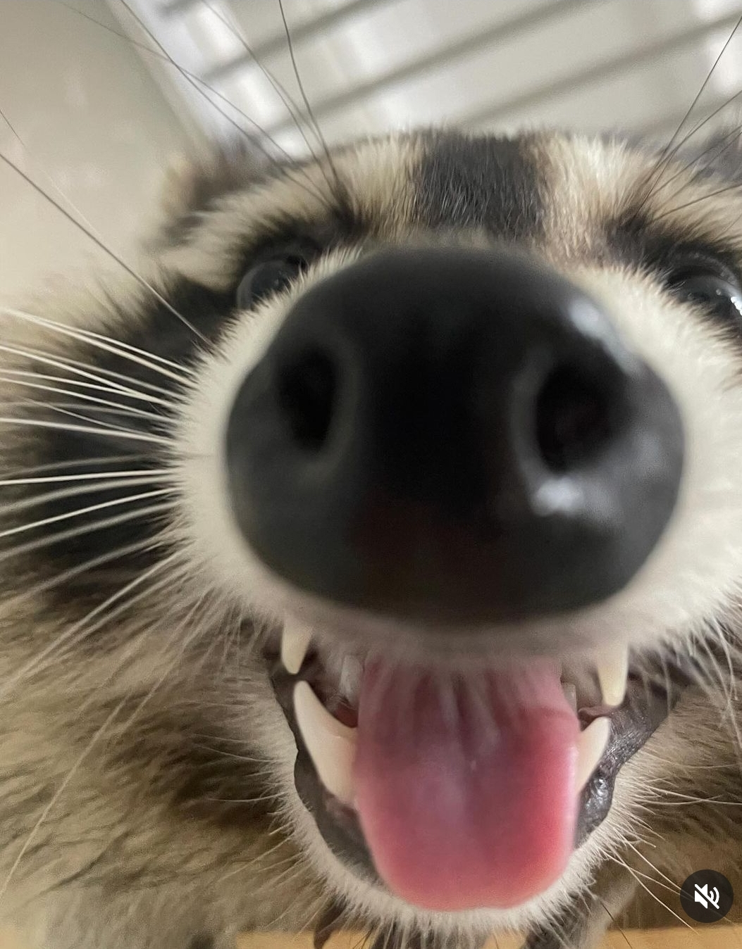 user avatar image for DingBat_44