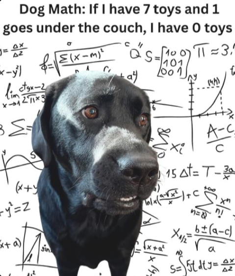 user avatar image for Brendan