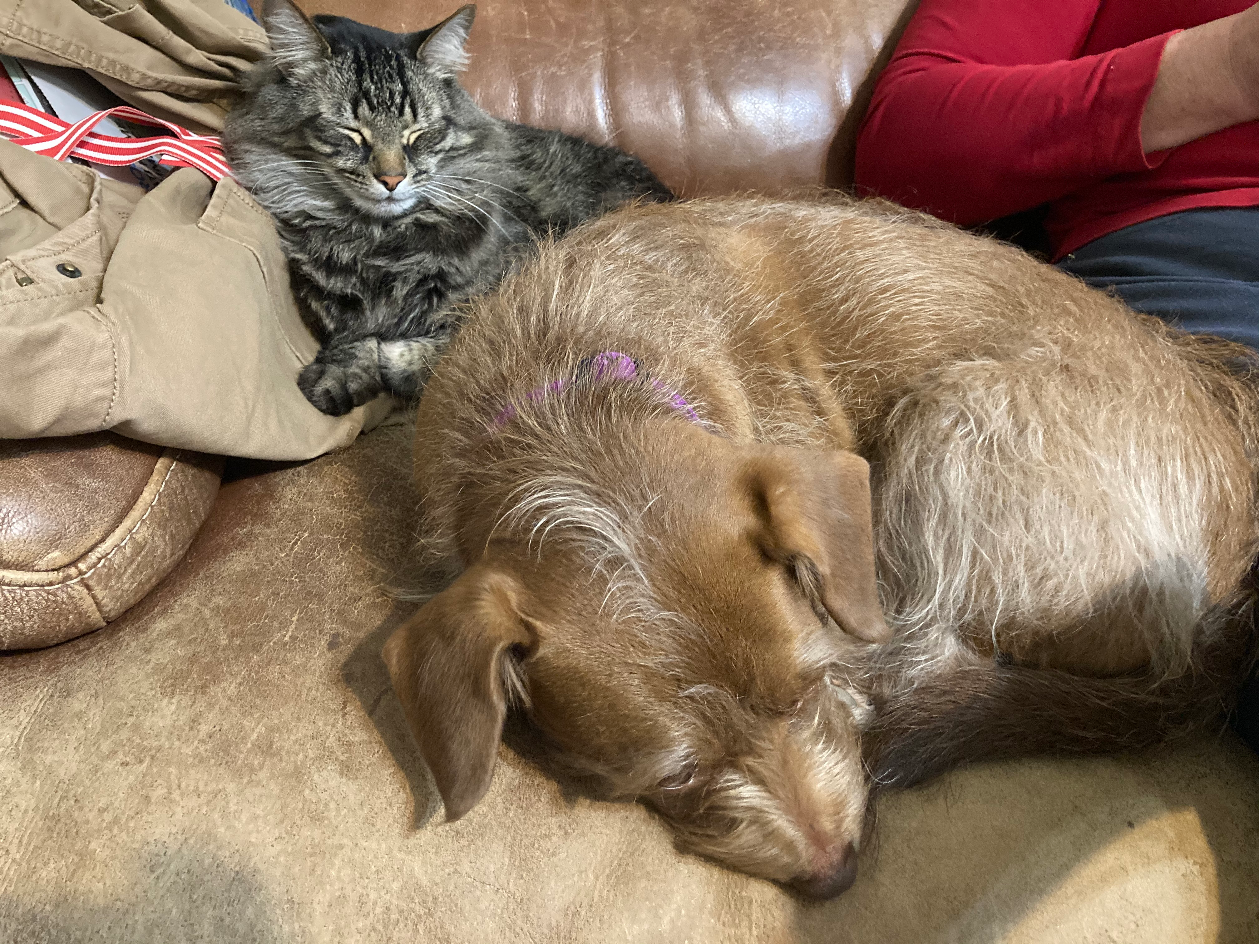 user avatar image for DanielN