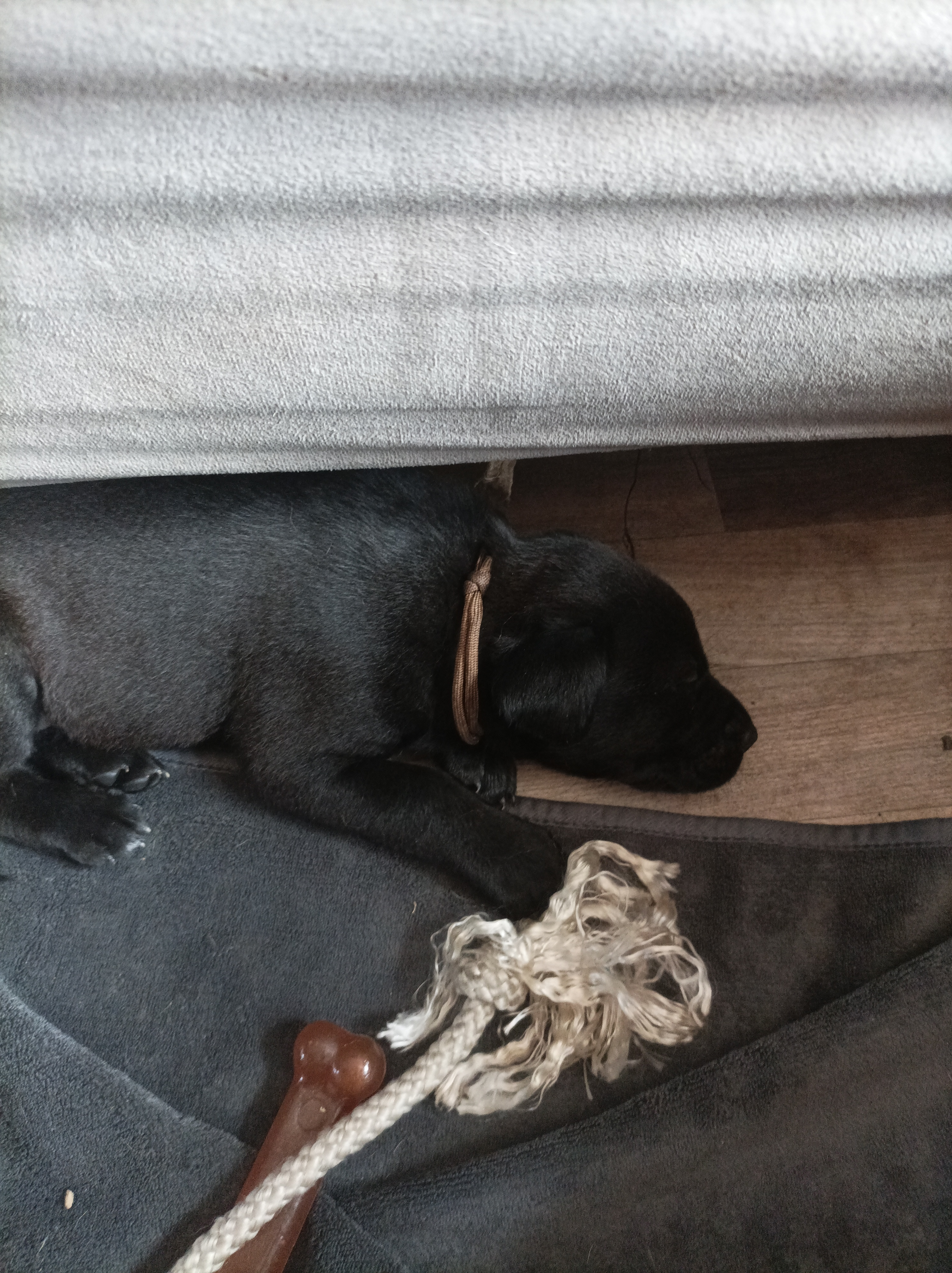 user avatar image for Ian