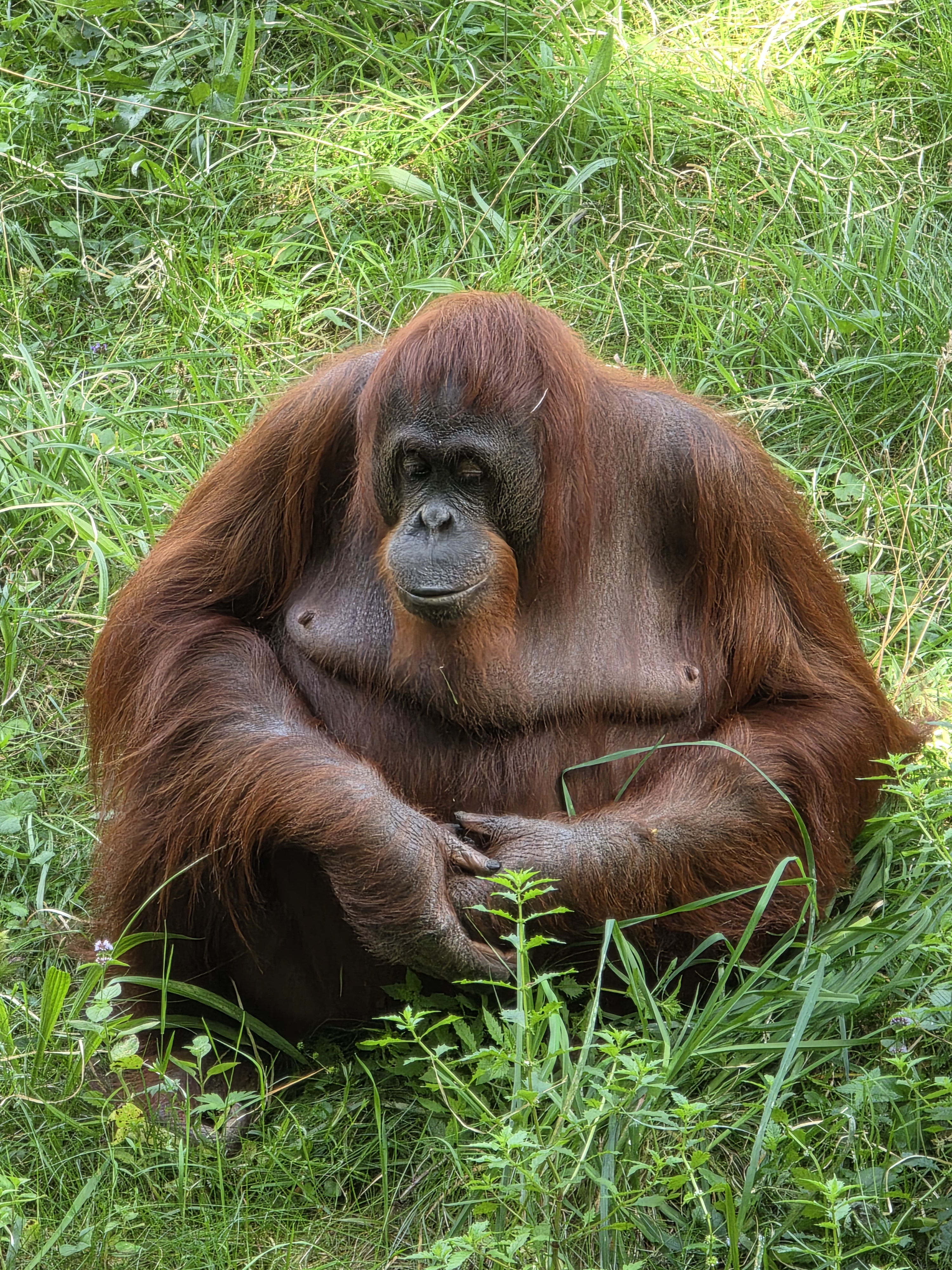 user avatar image for Wim Moes