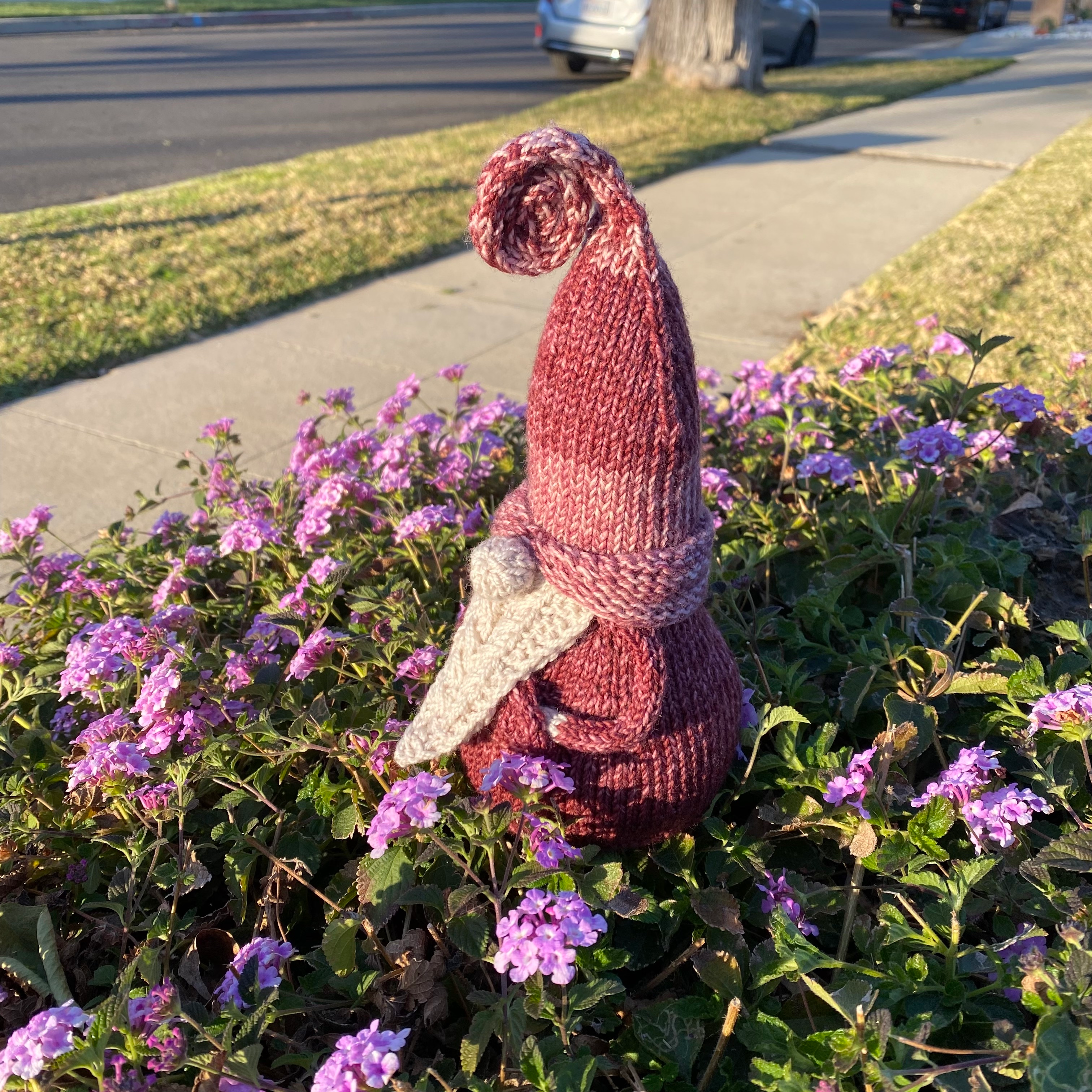 user avatar image for Caro K