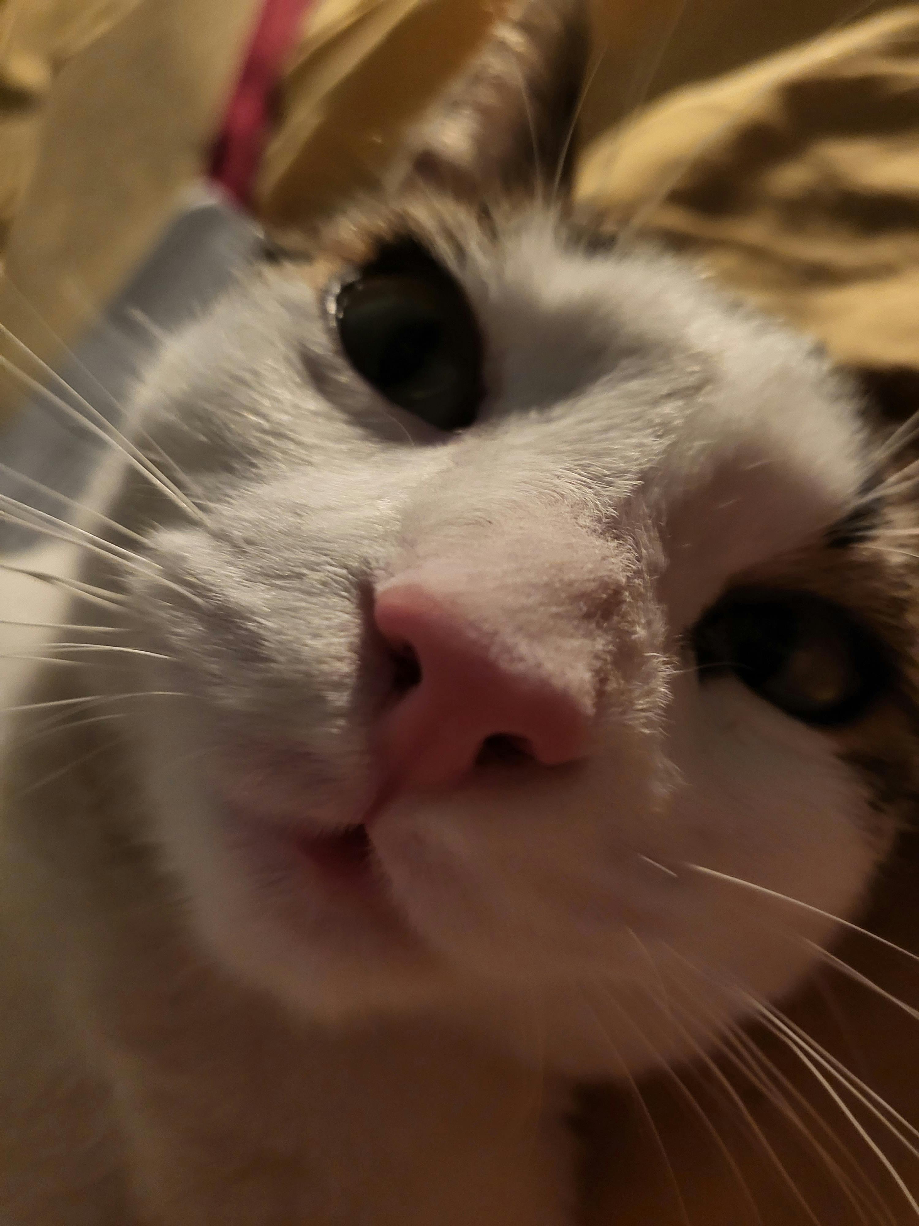 user avatar image for Boonian