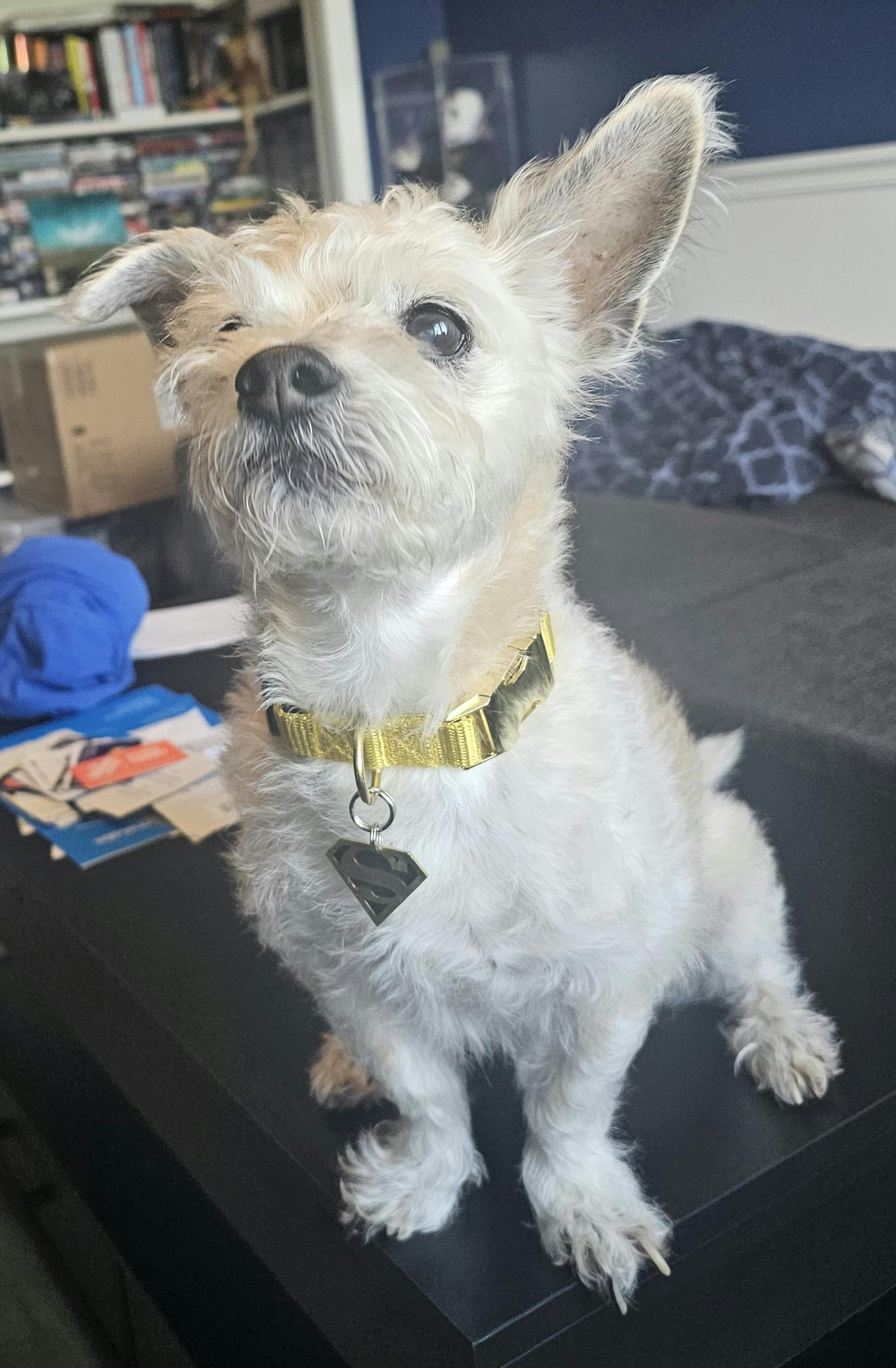 user avatar image for Jeff Kagel