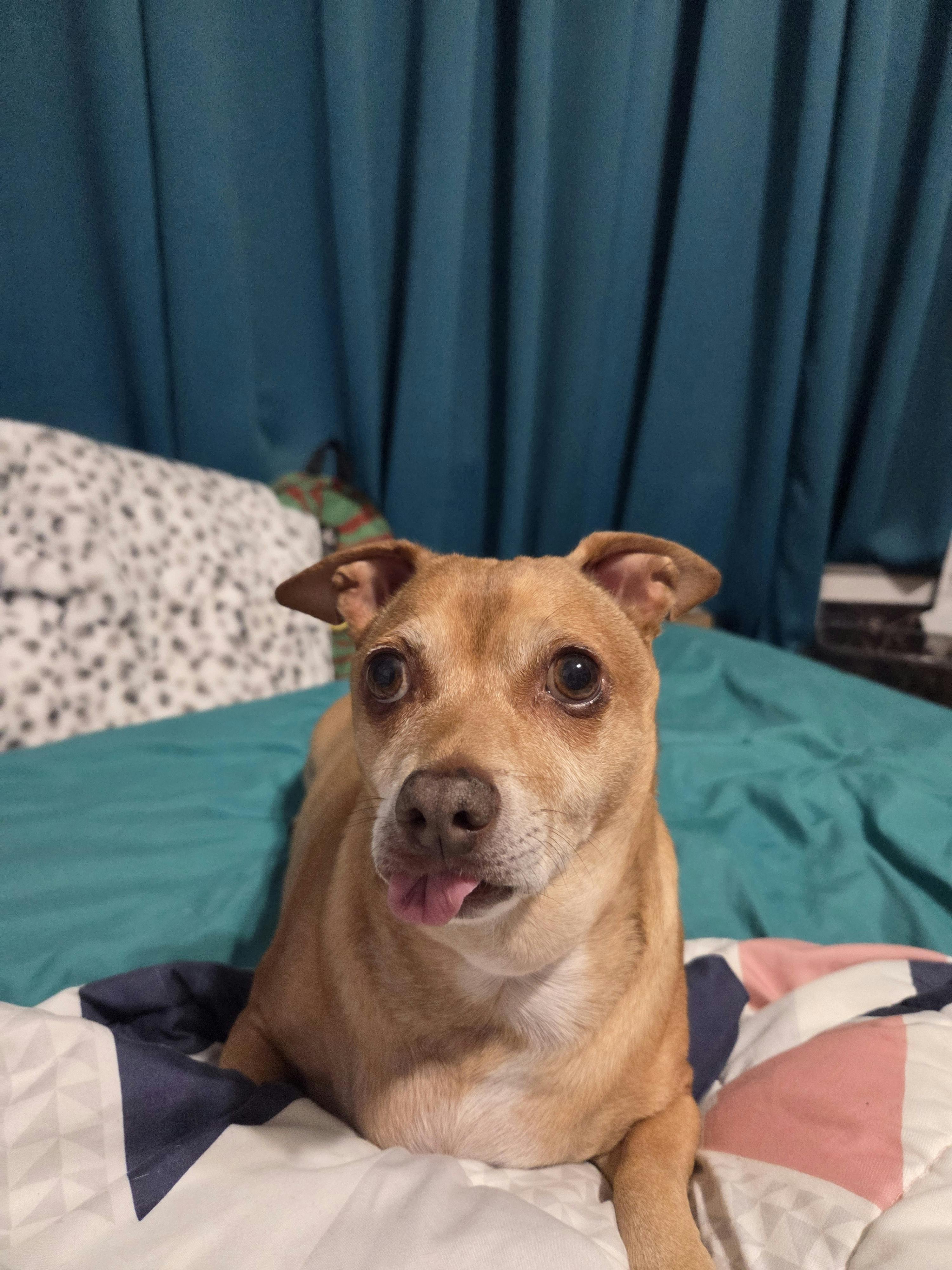 user avatar image for Kaylynn