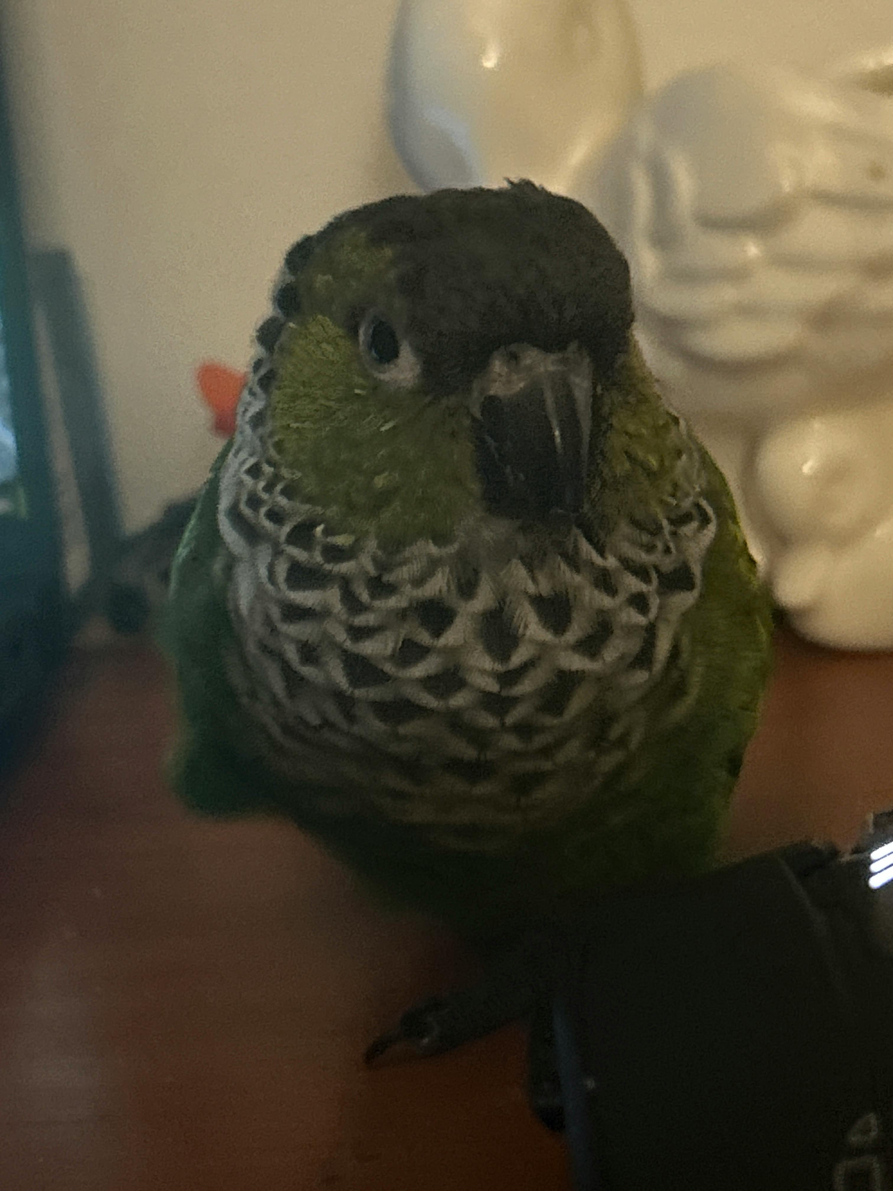 user avatar image for Abby