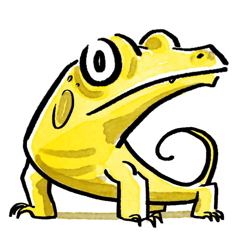 user avatar image for Pomelo