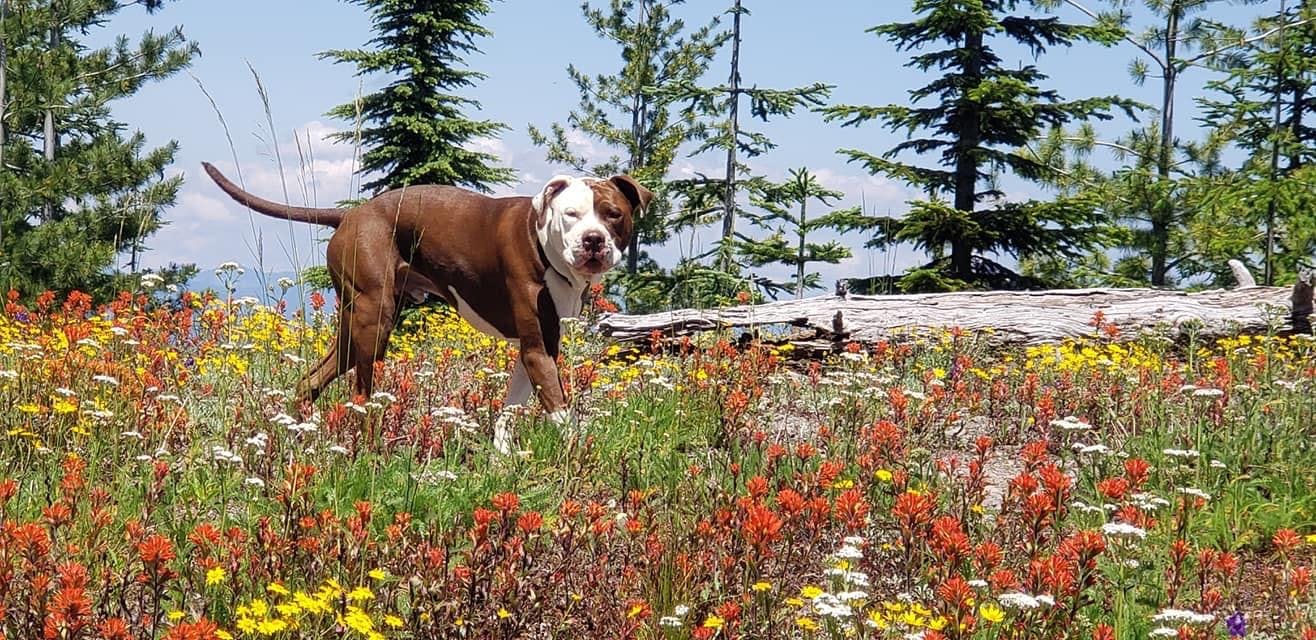 user avatar image for Cameron