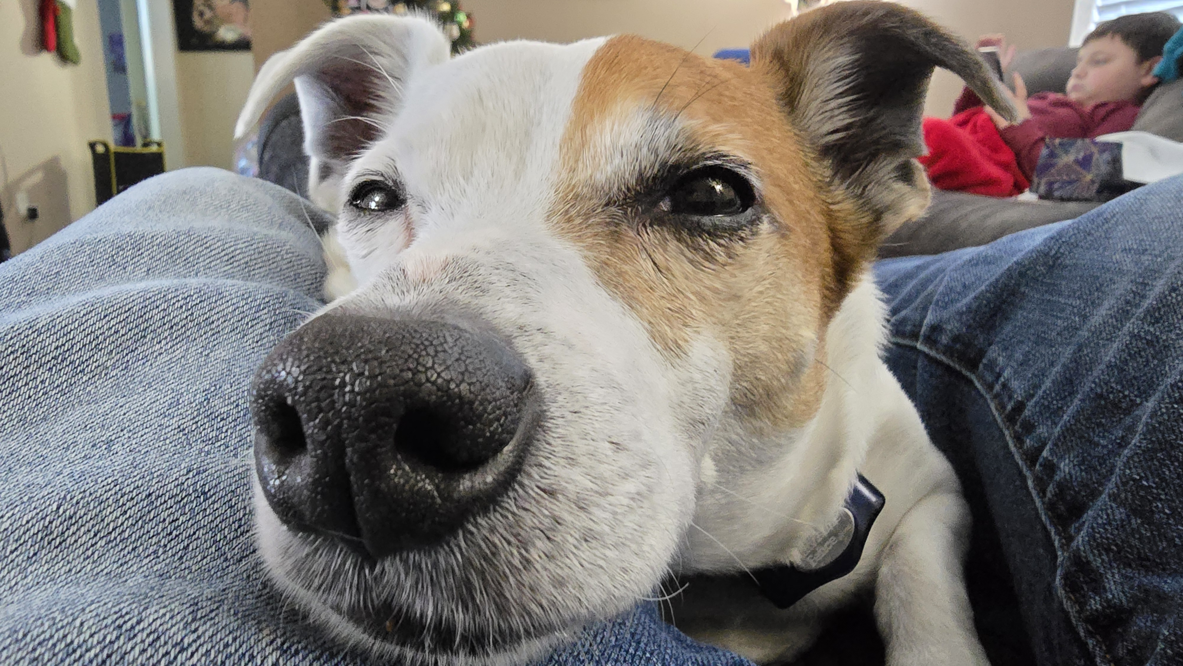 user avatar image for DenzDezignz