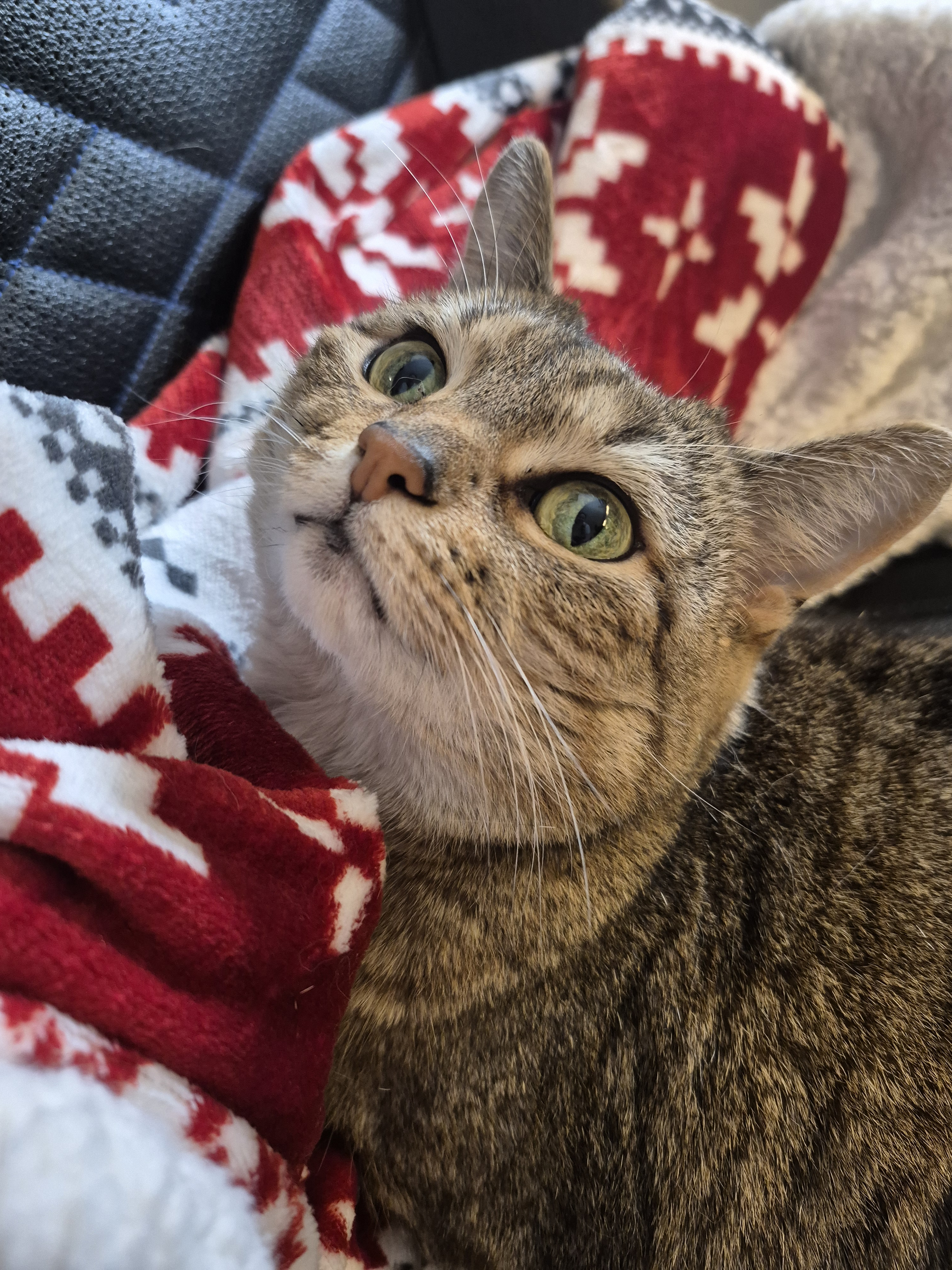 user avatar image for The Rythmus Family