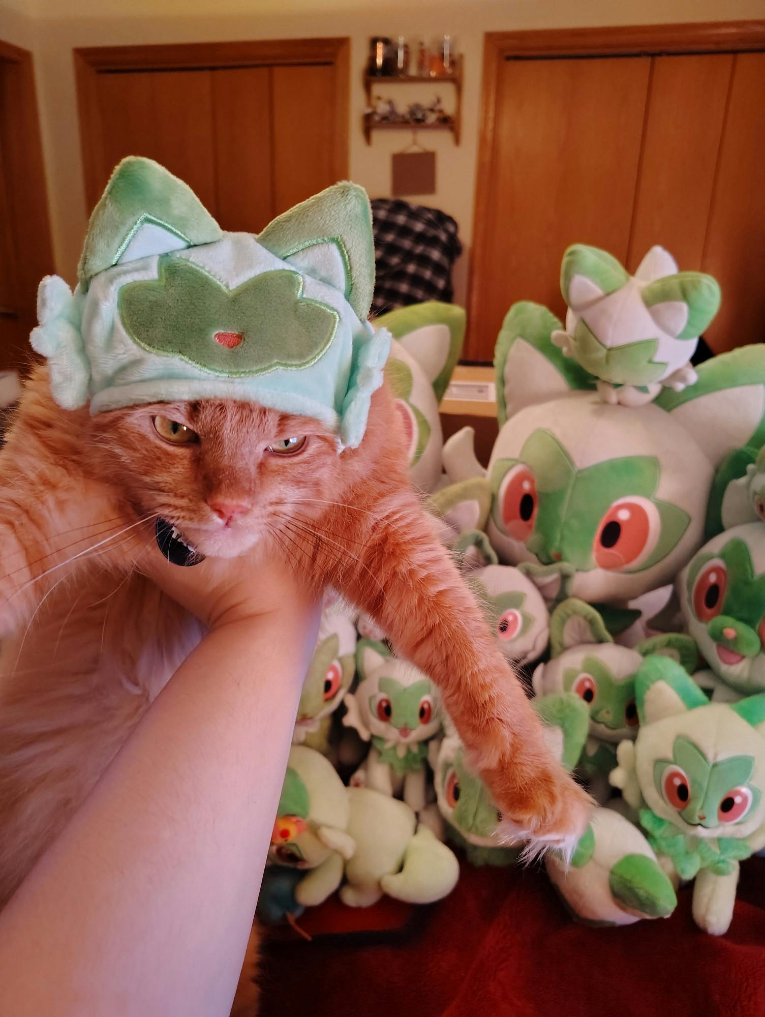 user avatar image for Pochiyaki