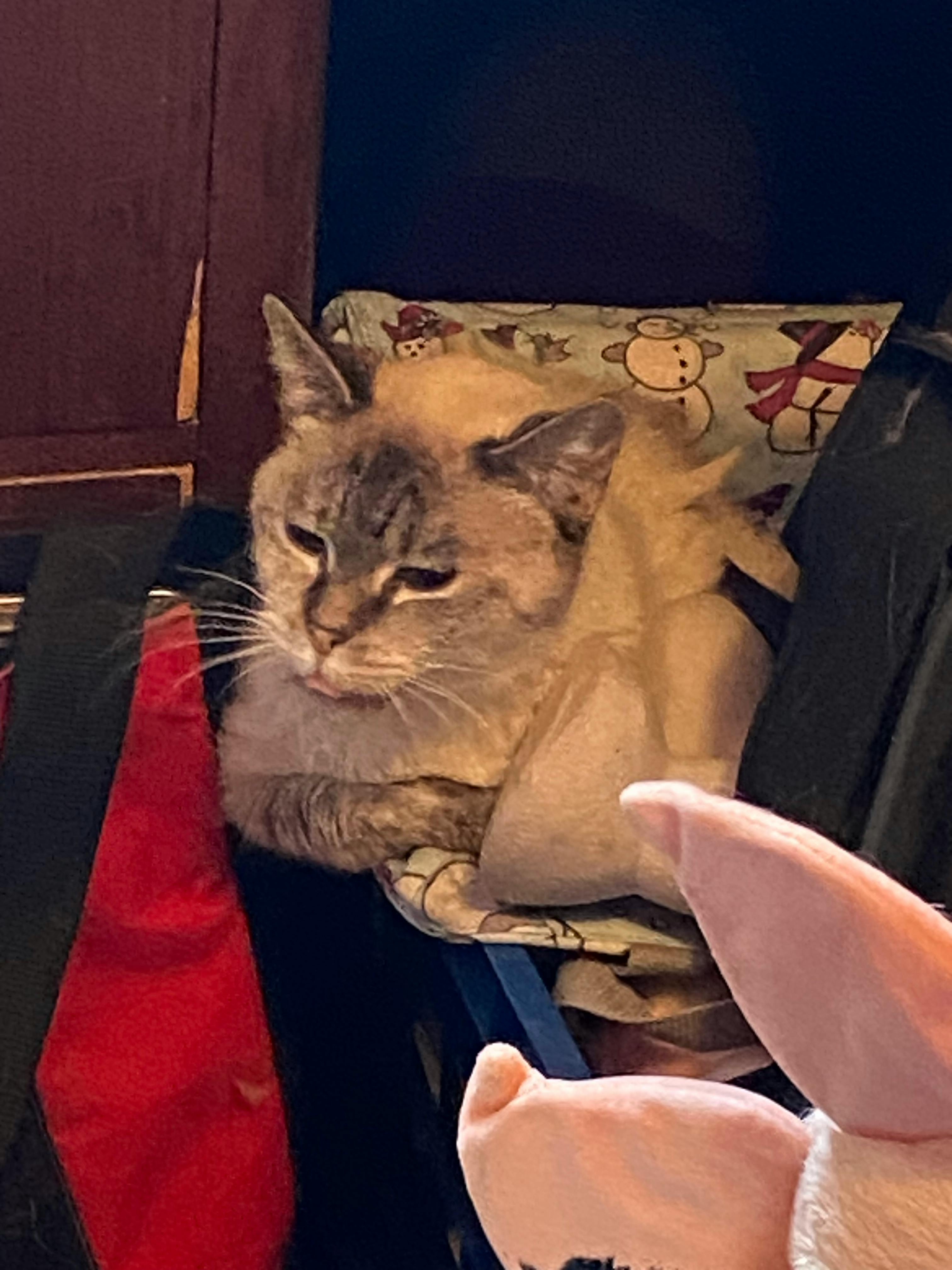 user avatar image for Lynda Smith