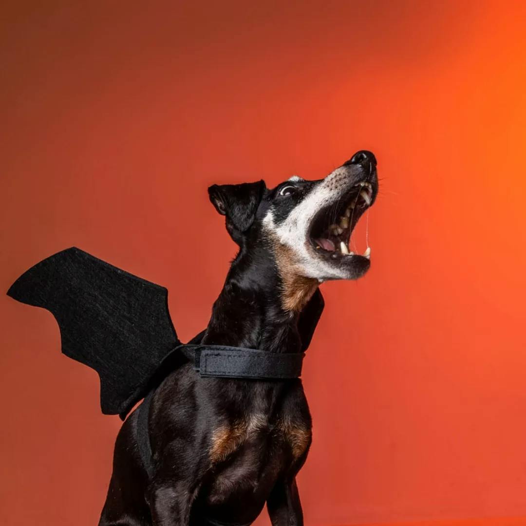 user avatar image for Lucy W