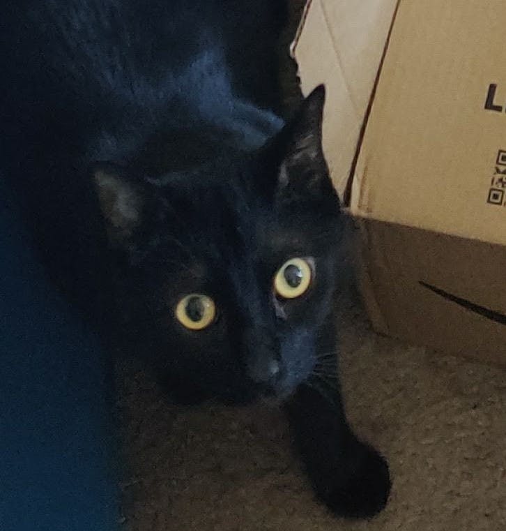 user avatar image for Jedi Jeremy