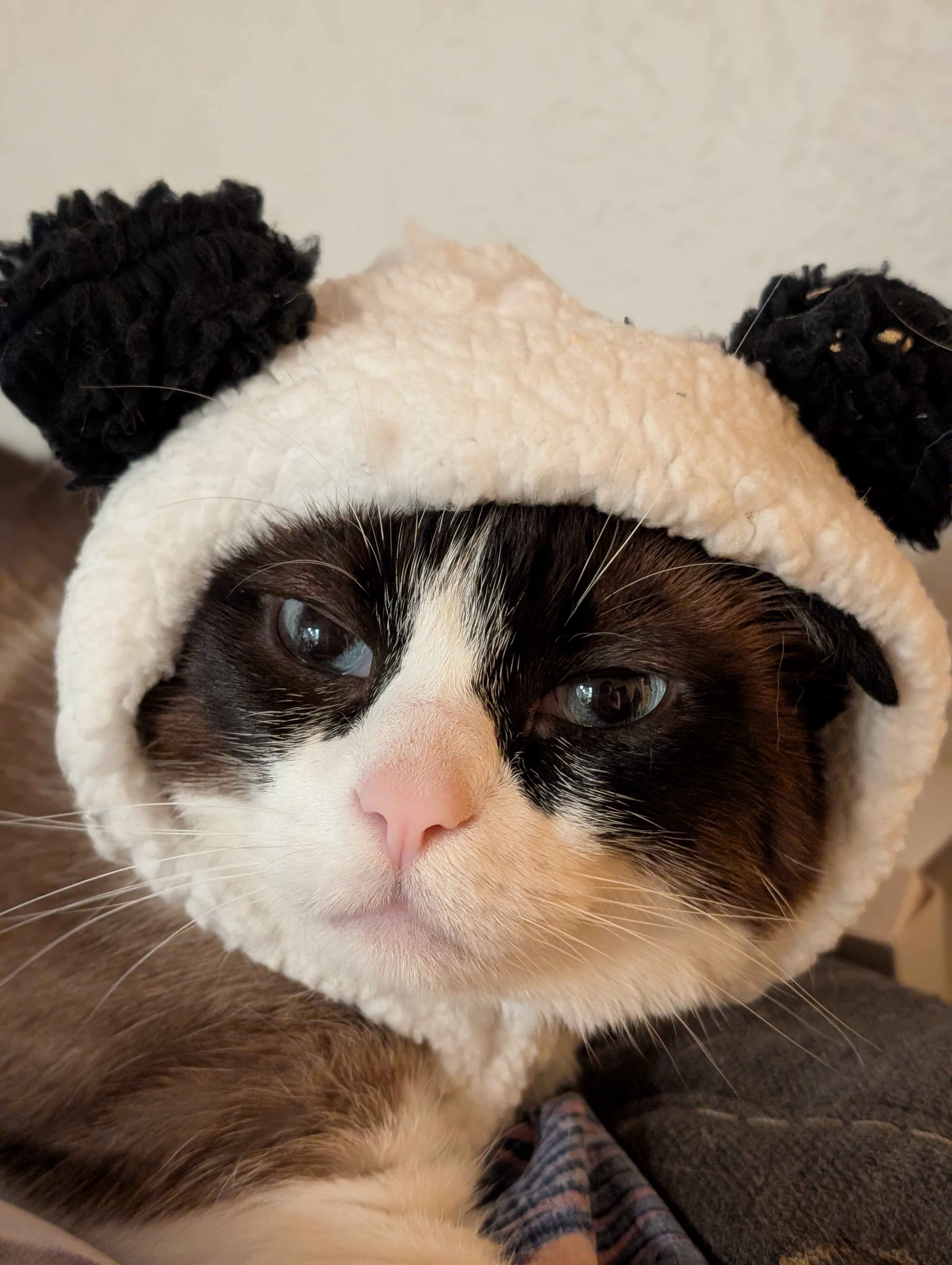 user avatar image for Serena