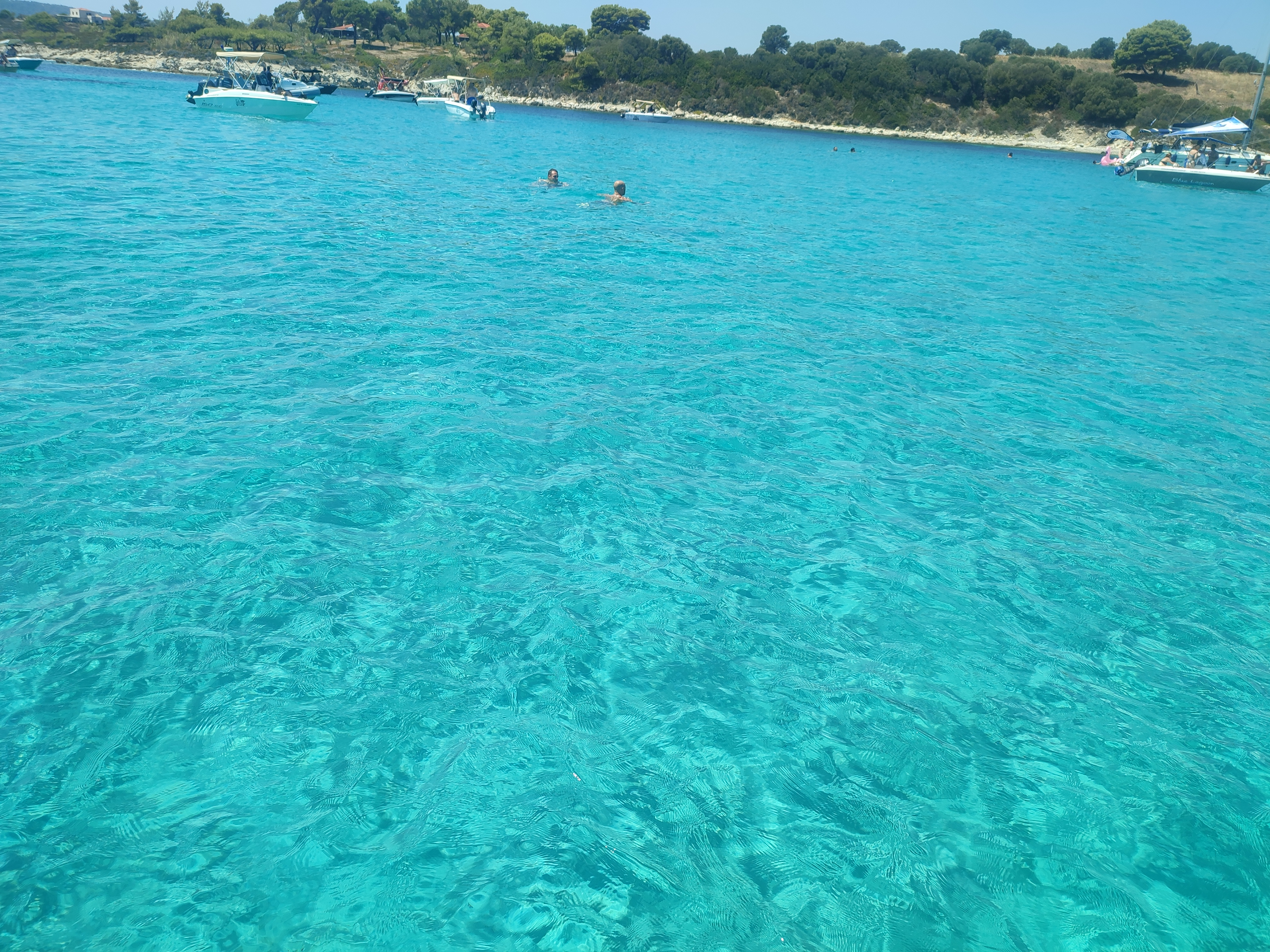 user avatar image for VBDTA