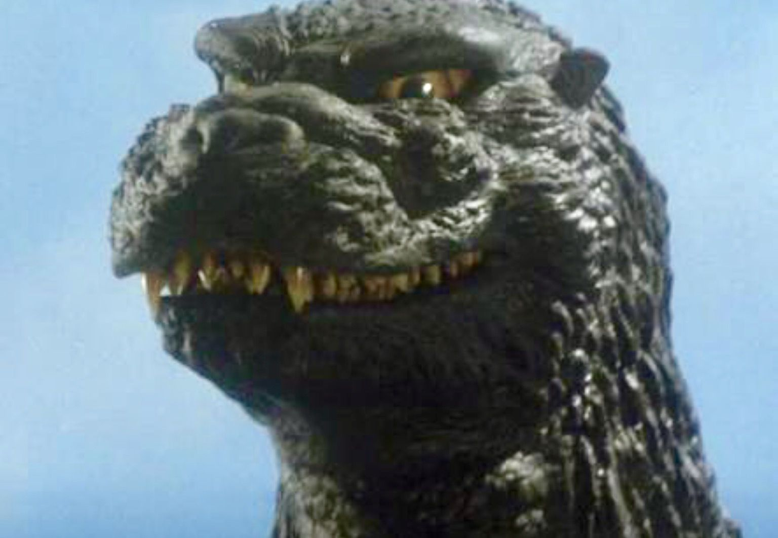 user avatar image for Sam Crow