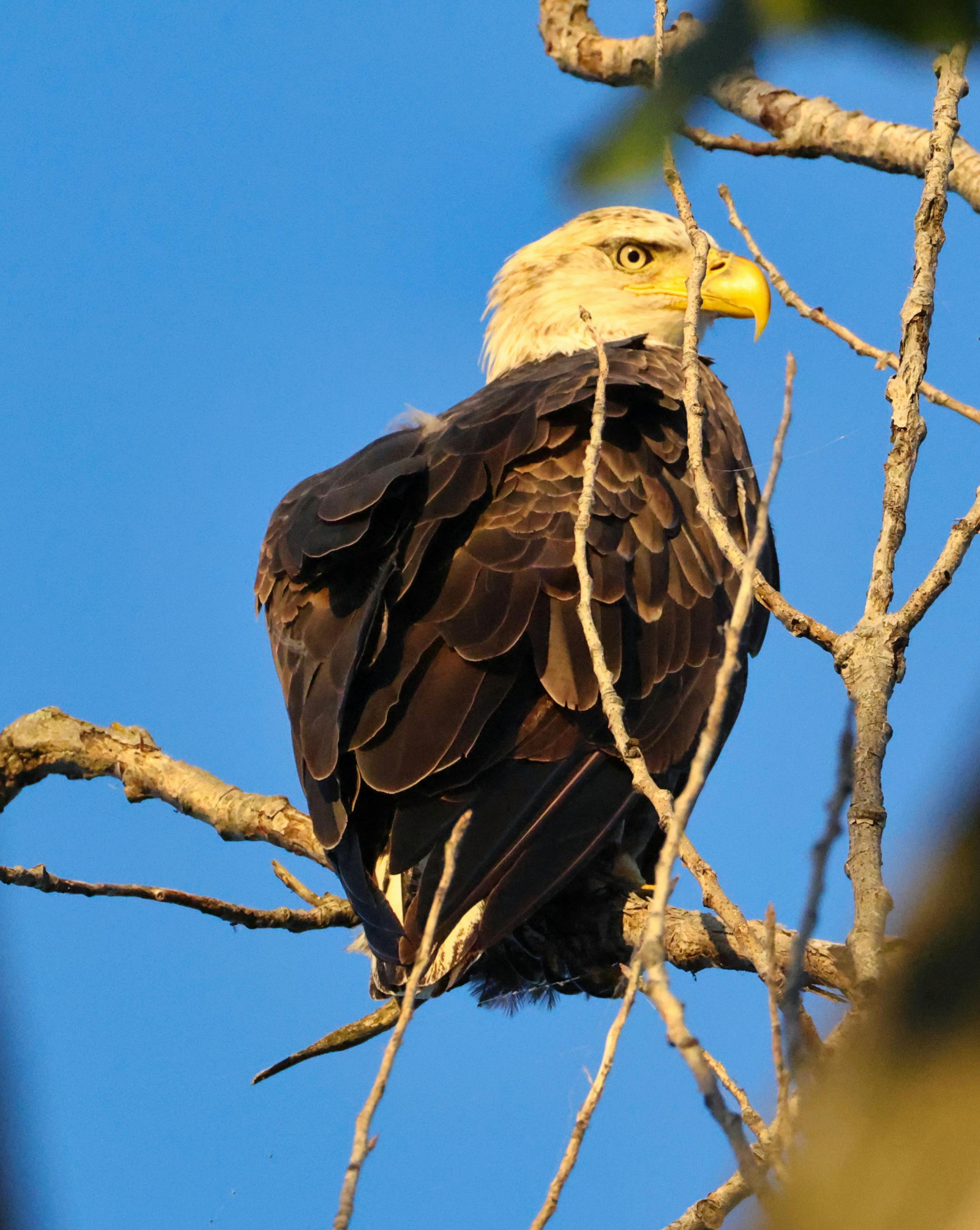 user avatar image for Tyreill