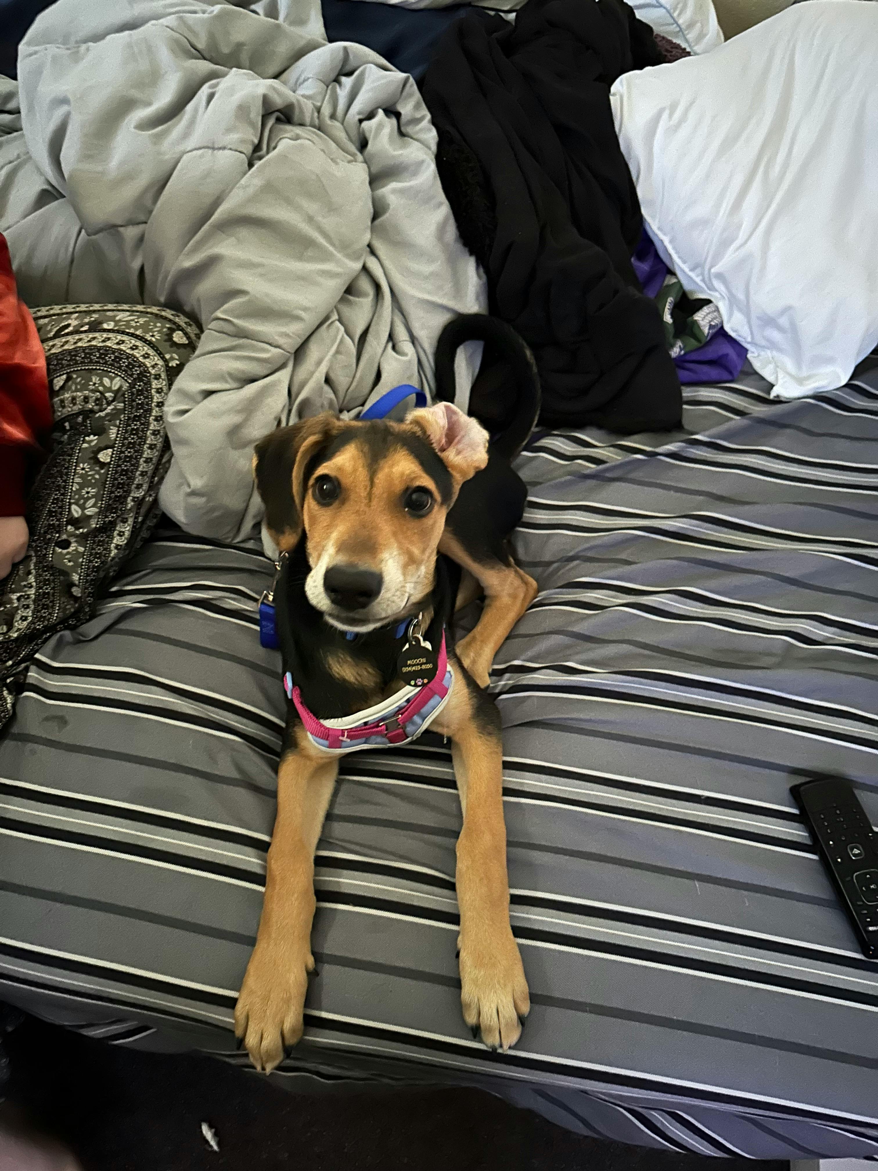 user avatar image for Ian Hawk