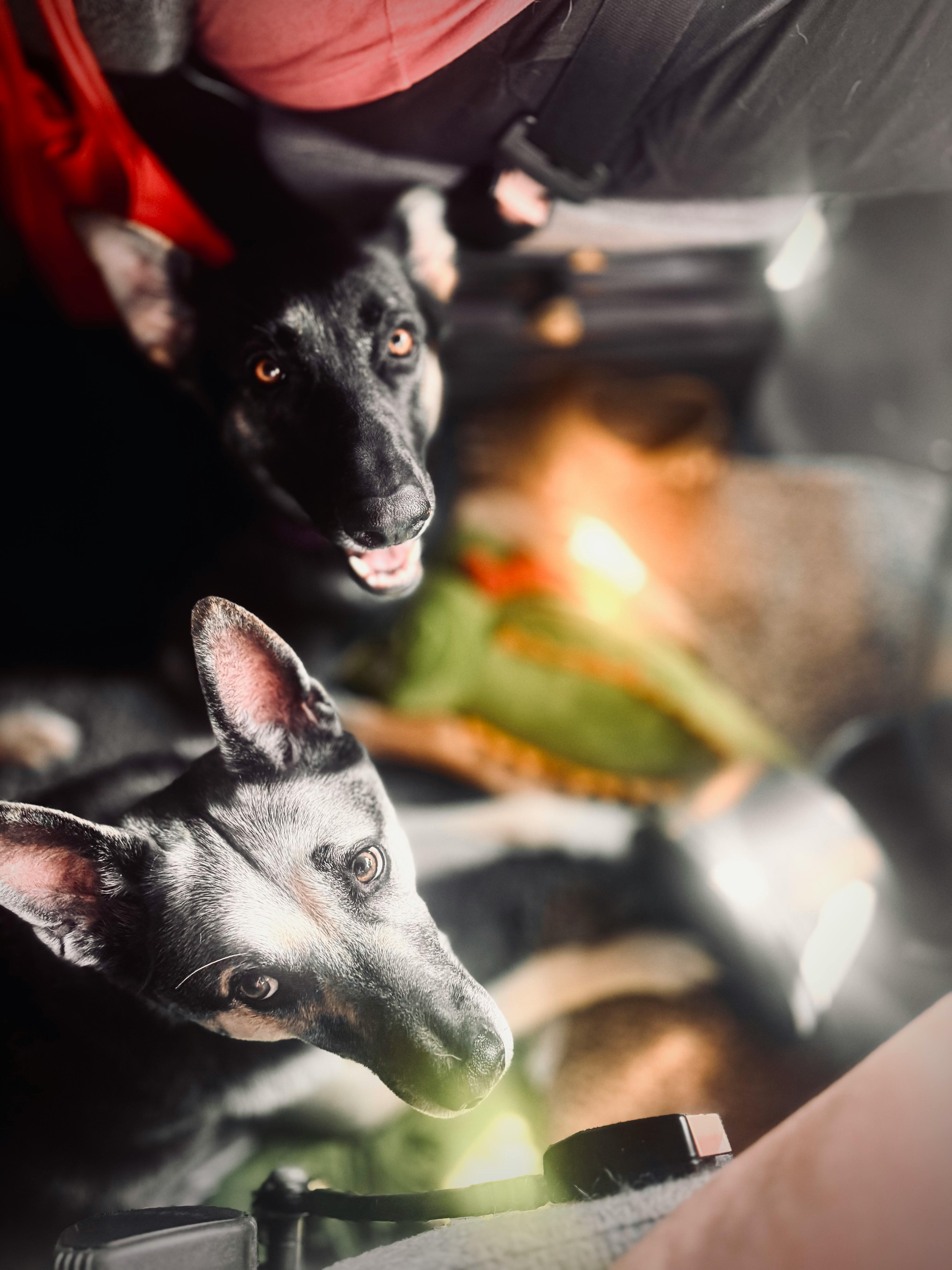 user avatar image for Karisa