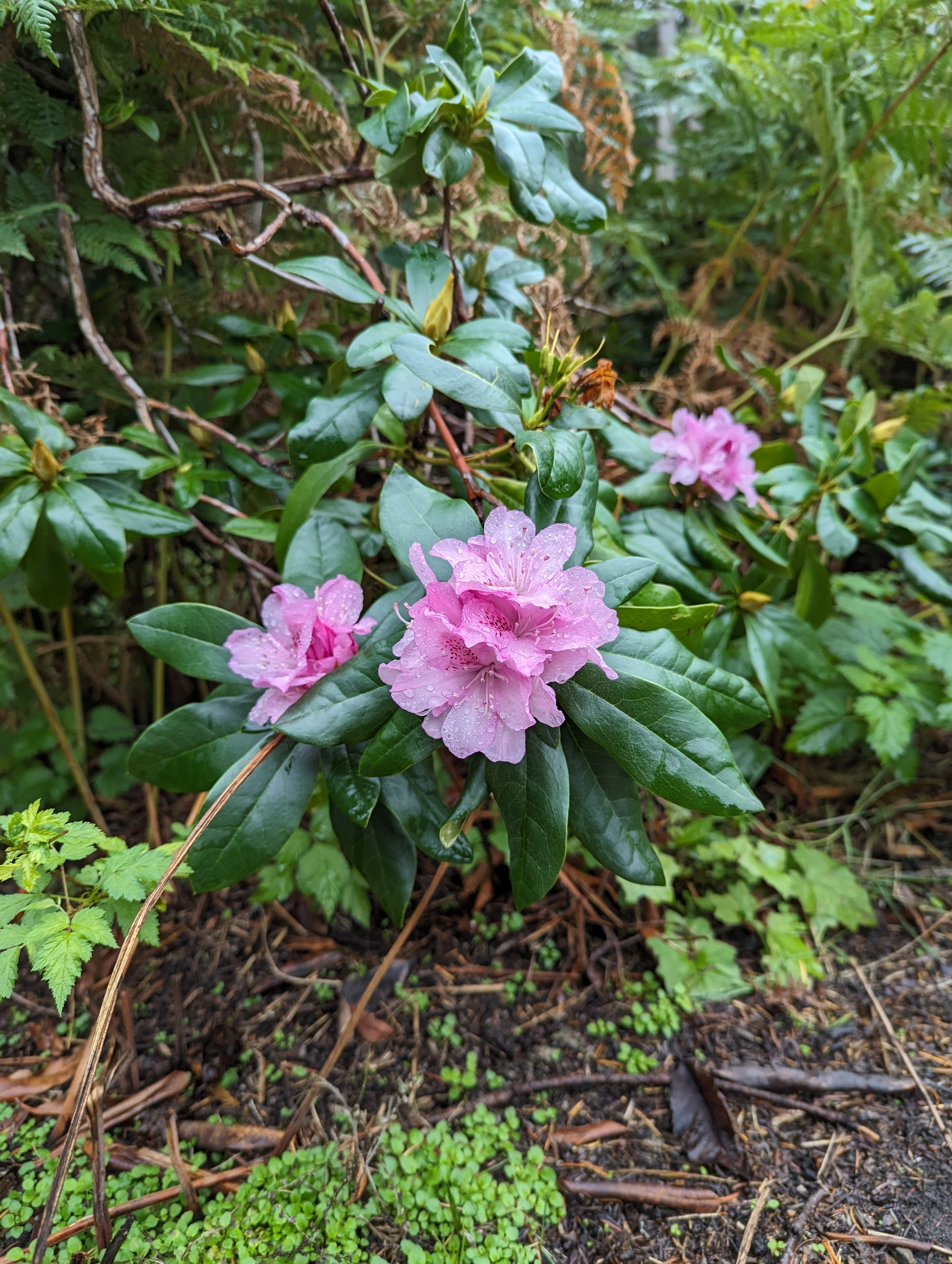 user avatar image for Meagan S