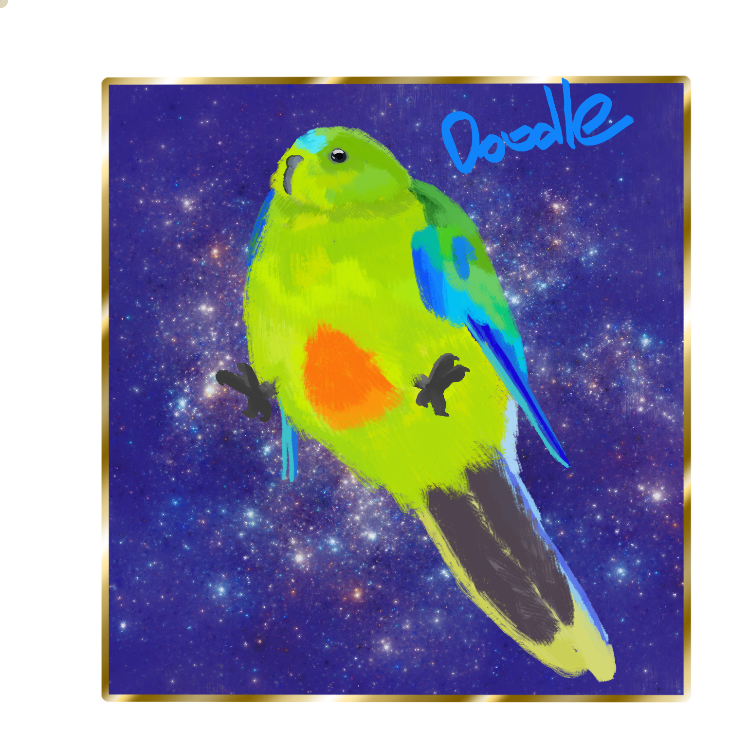 Regular chonk Parrot and Square Galaxy
