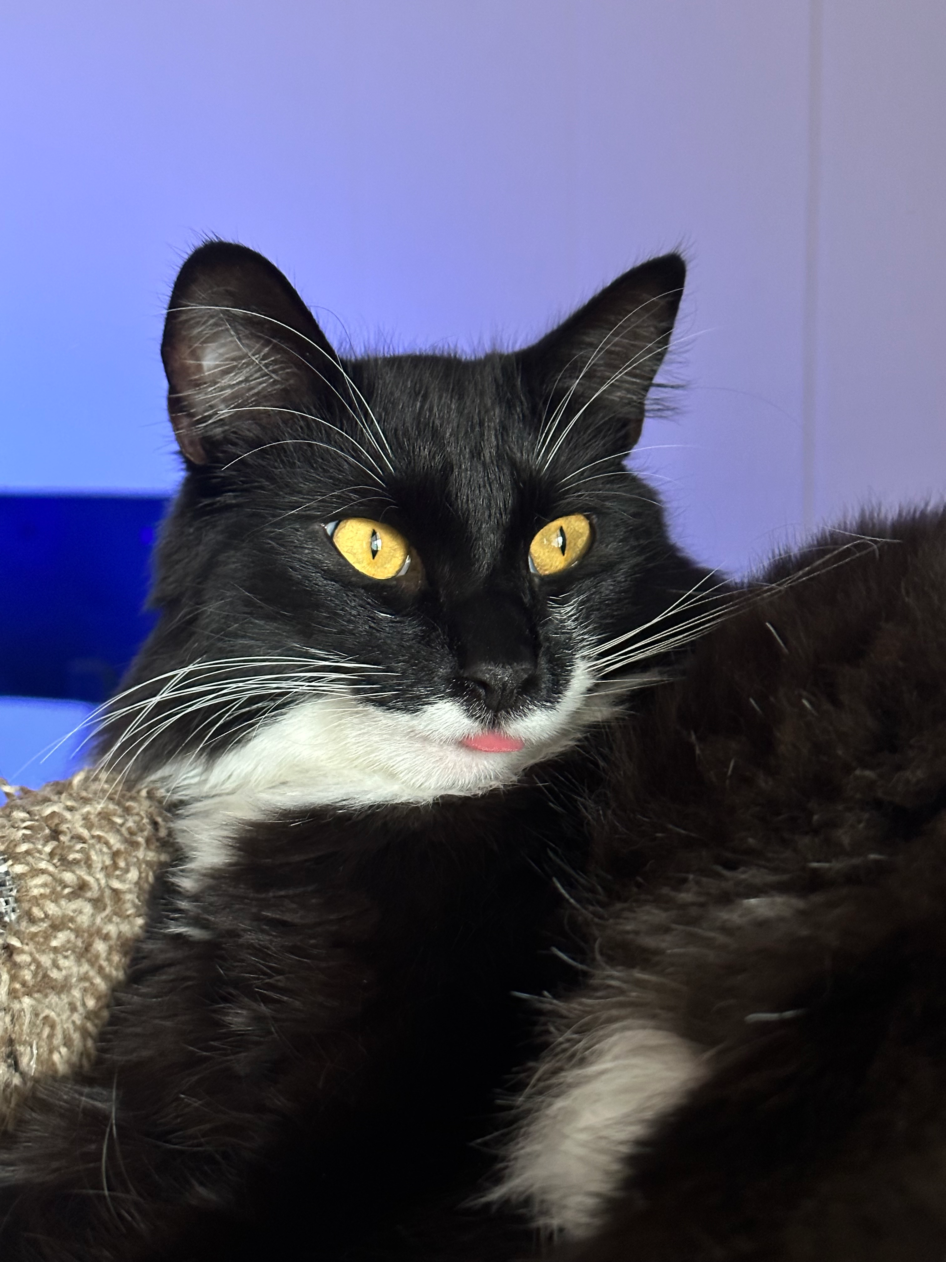 user avatar image for DewToad