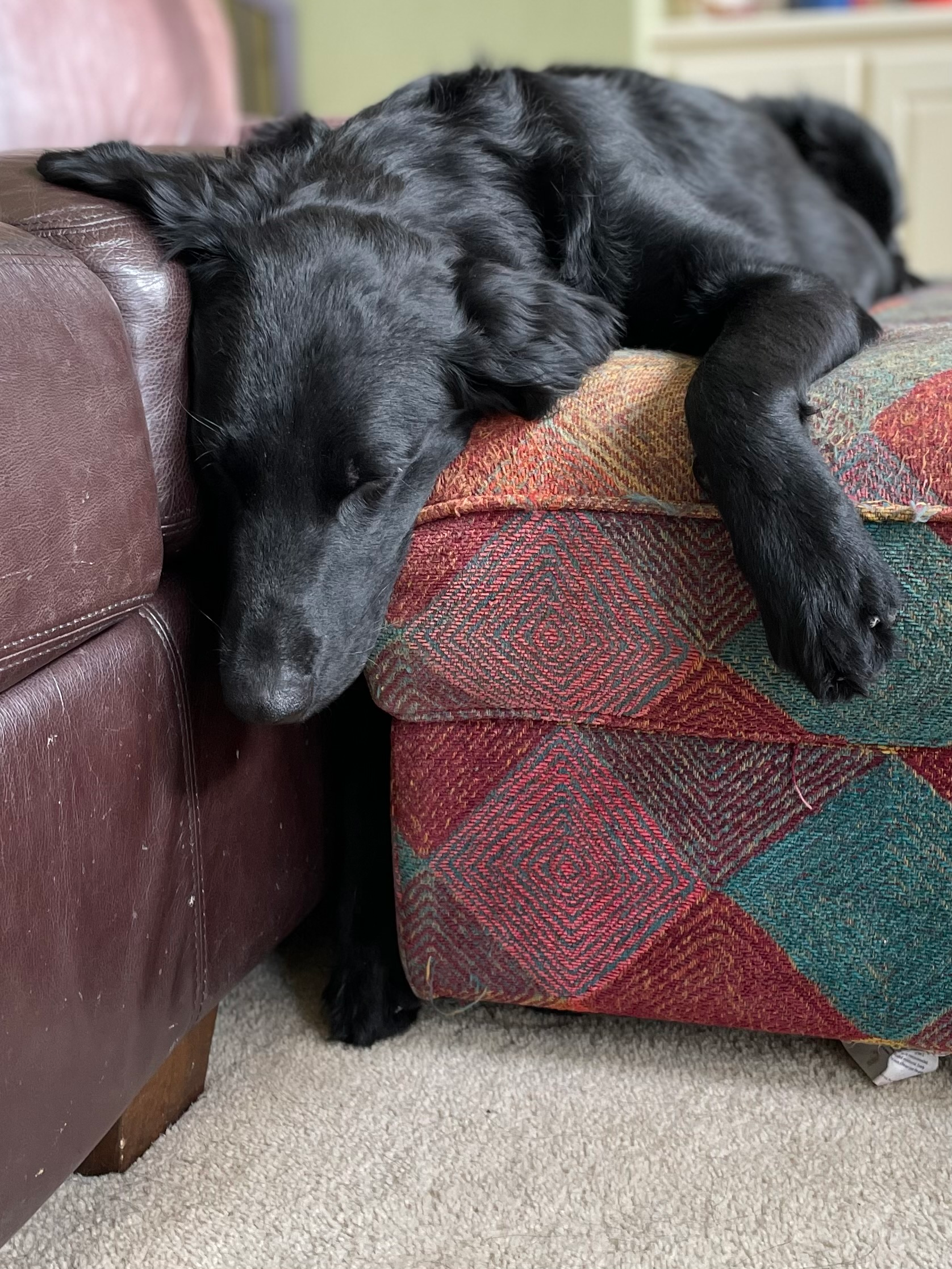 user avatar image for Sandra Muer