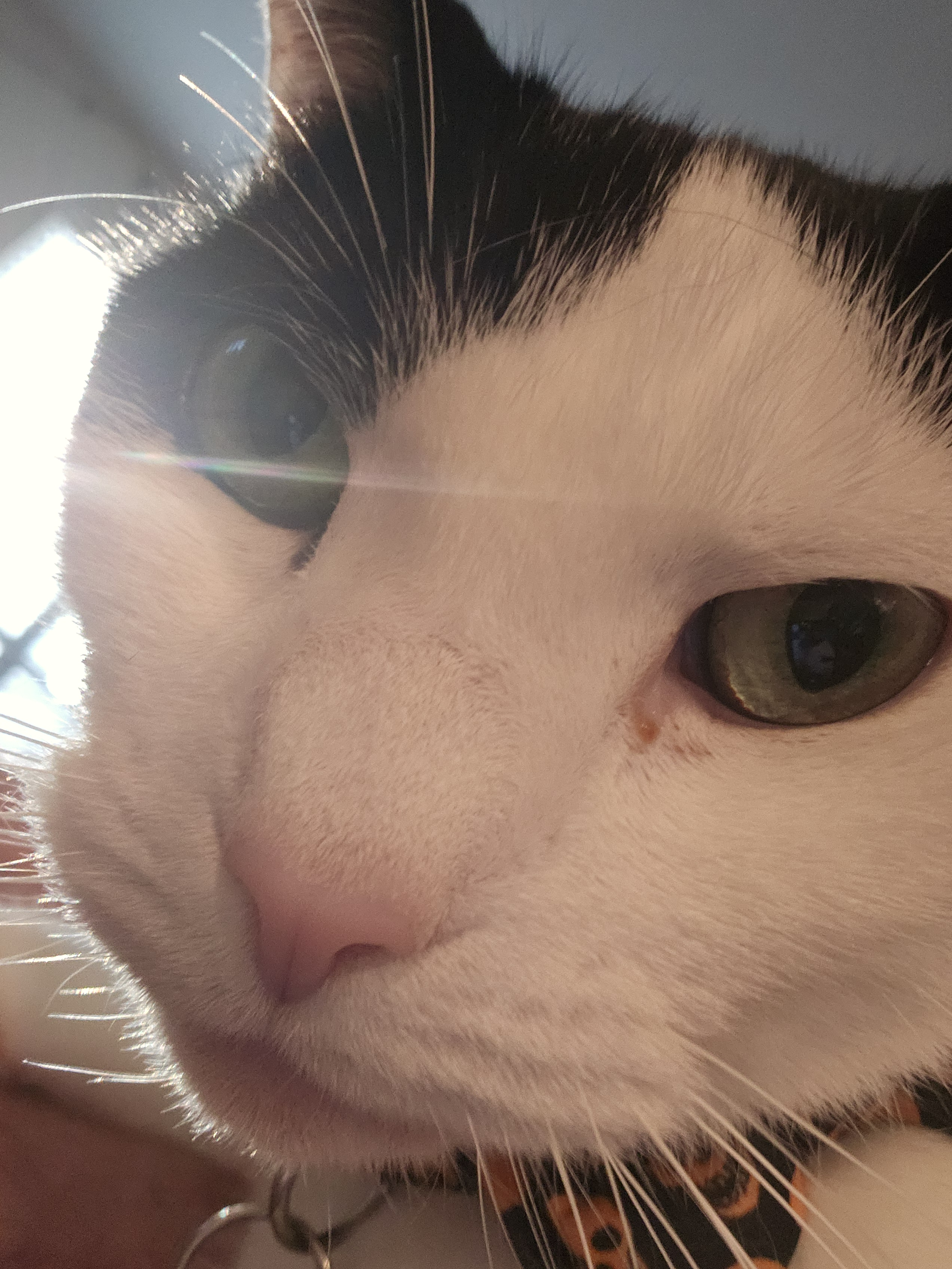 user avatar image for Justin