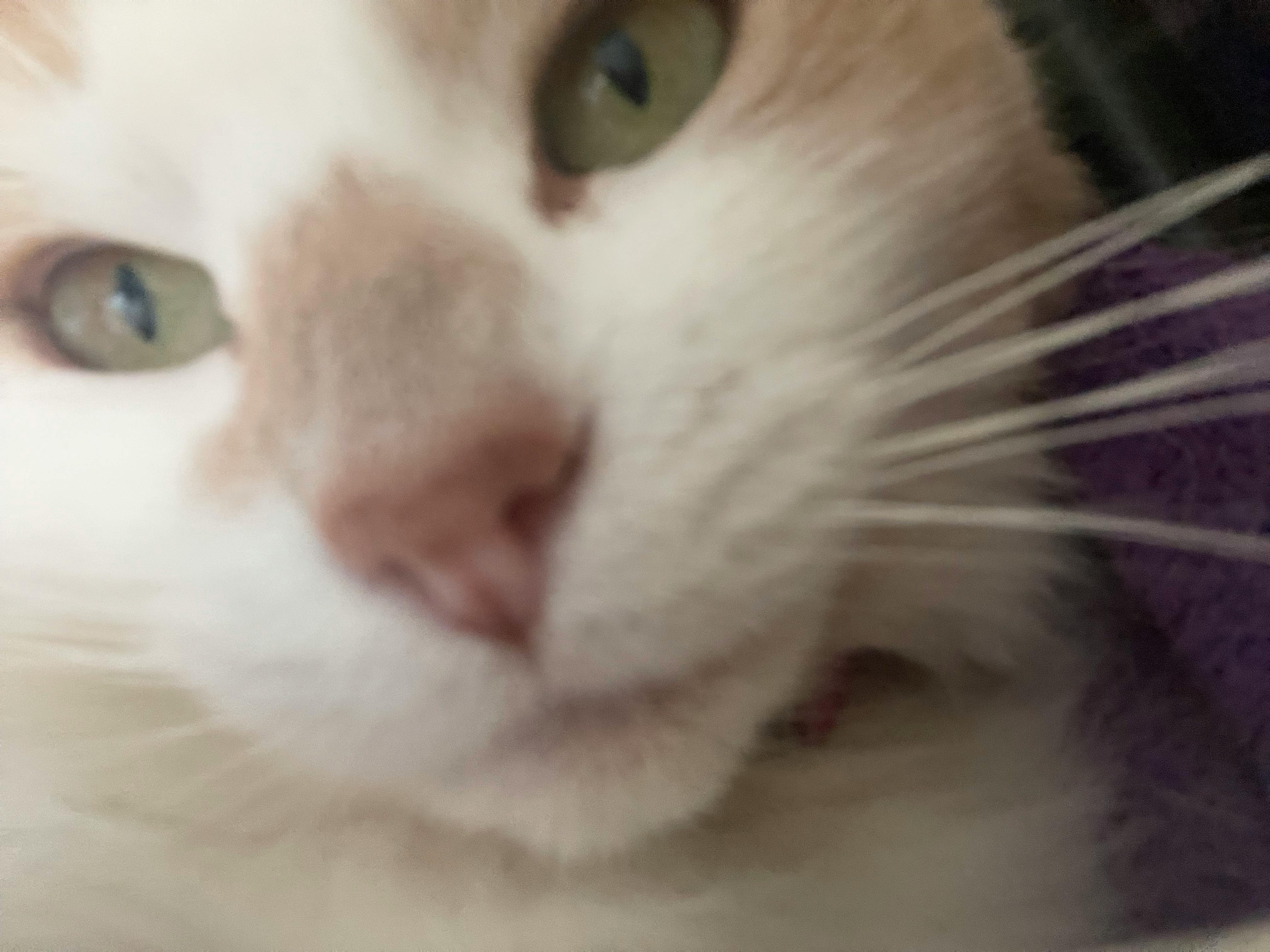 user avatar image for Angel