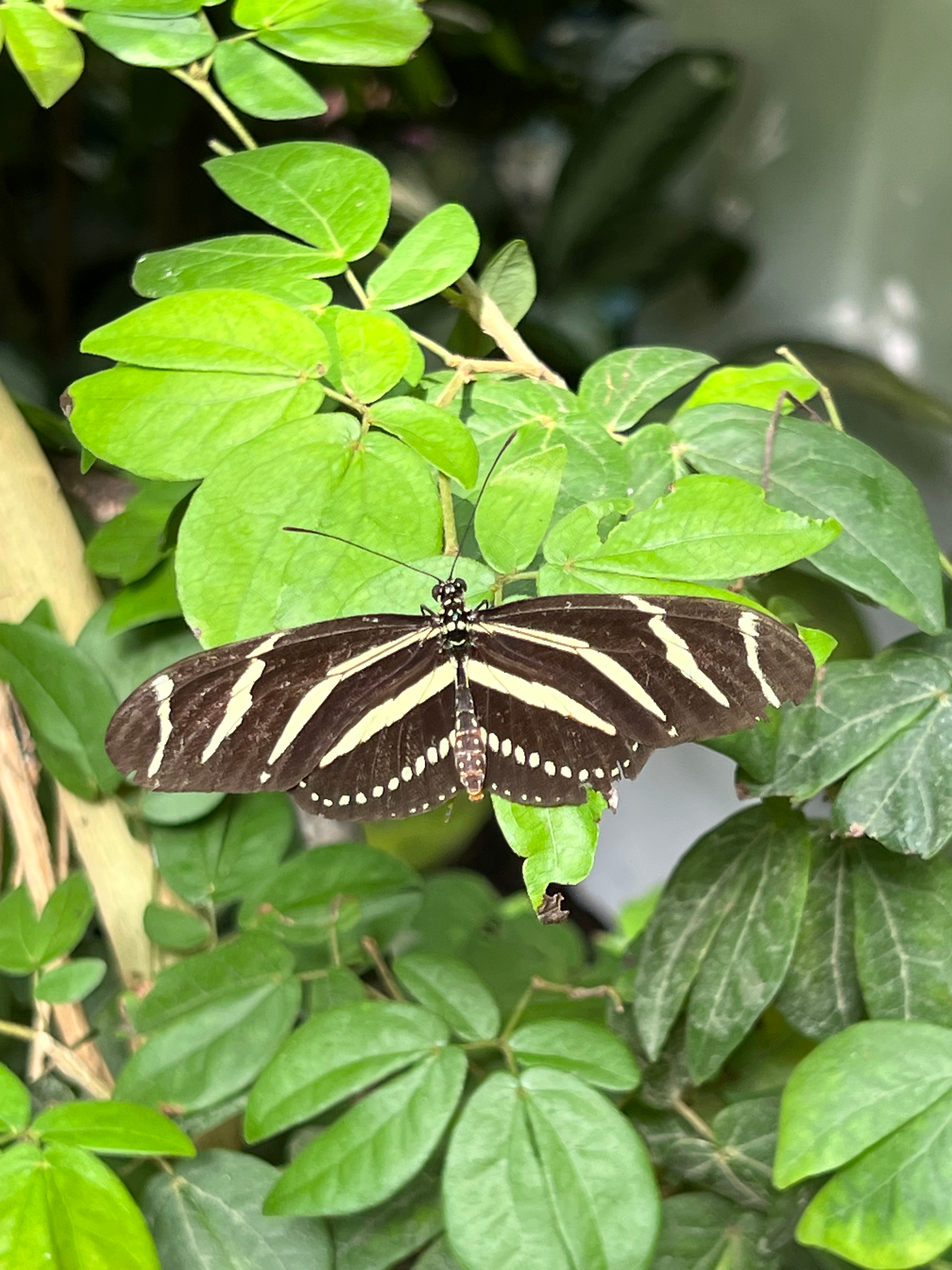 user avatar image for Kimberly Stebbins