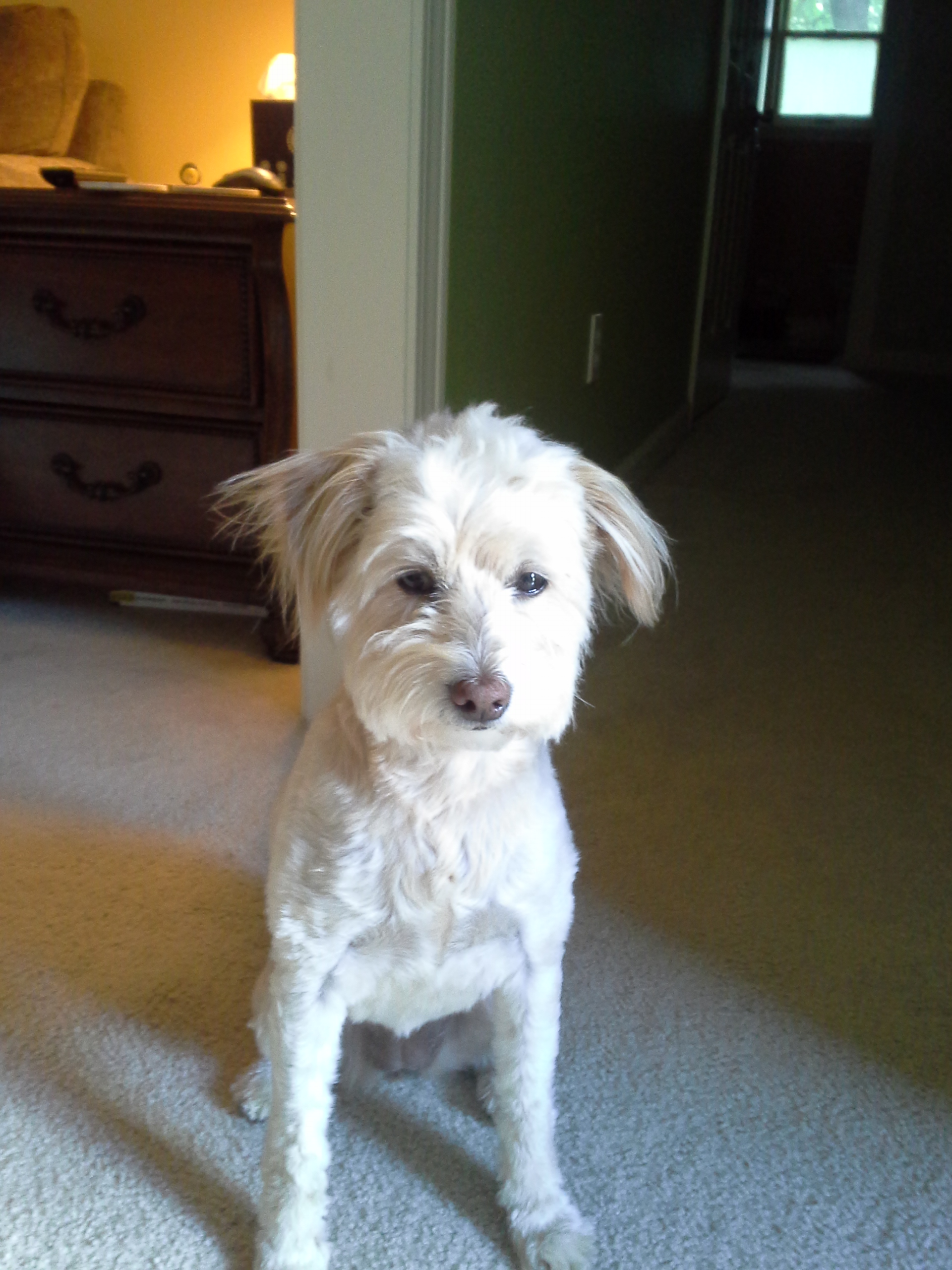 user avatar image for Kimberly Owens