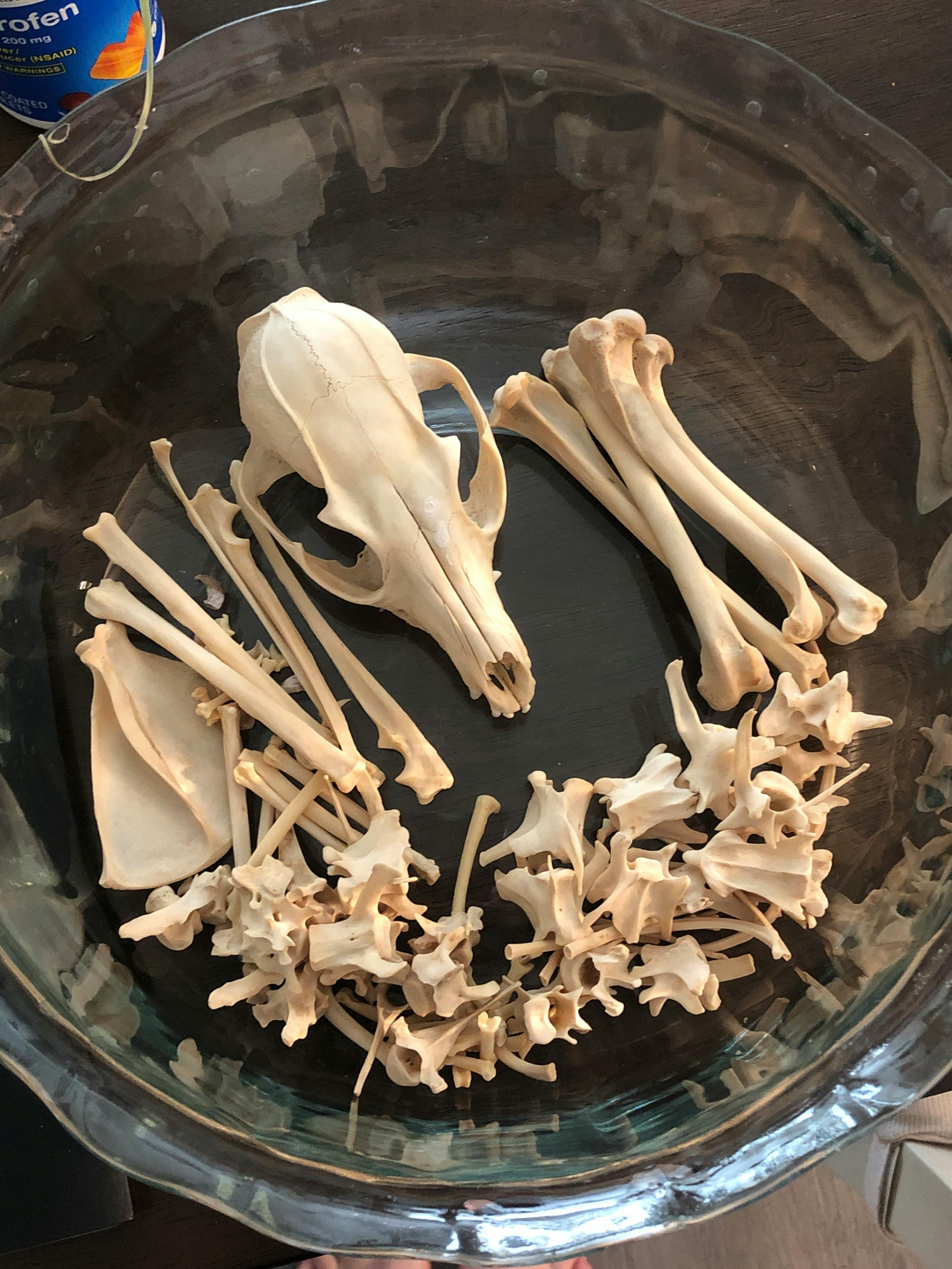 user avatar image for Riley